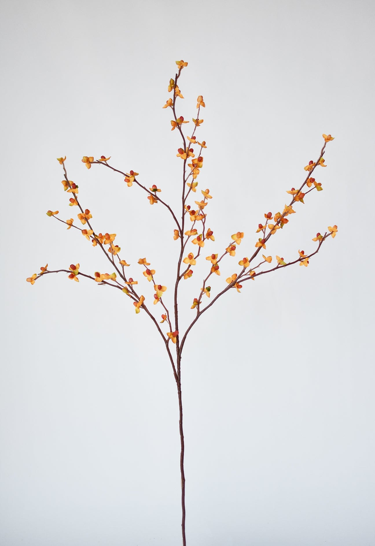 32" Faux Bittersweet Stem (Online exclusive)