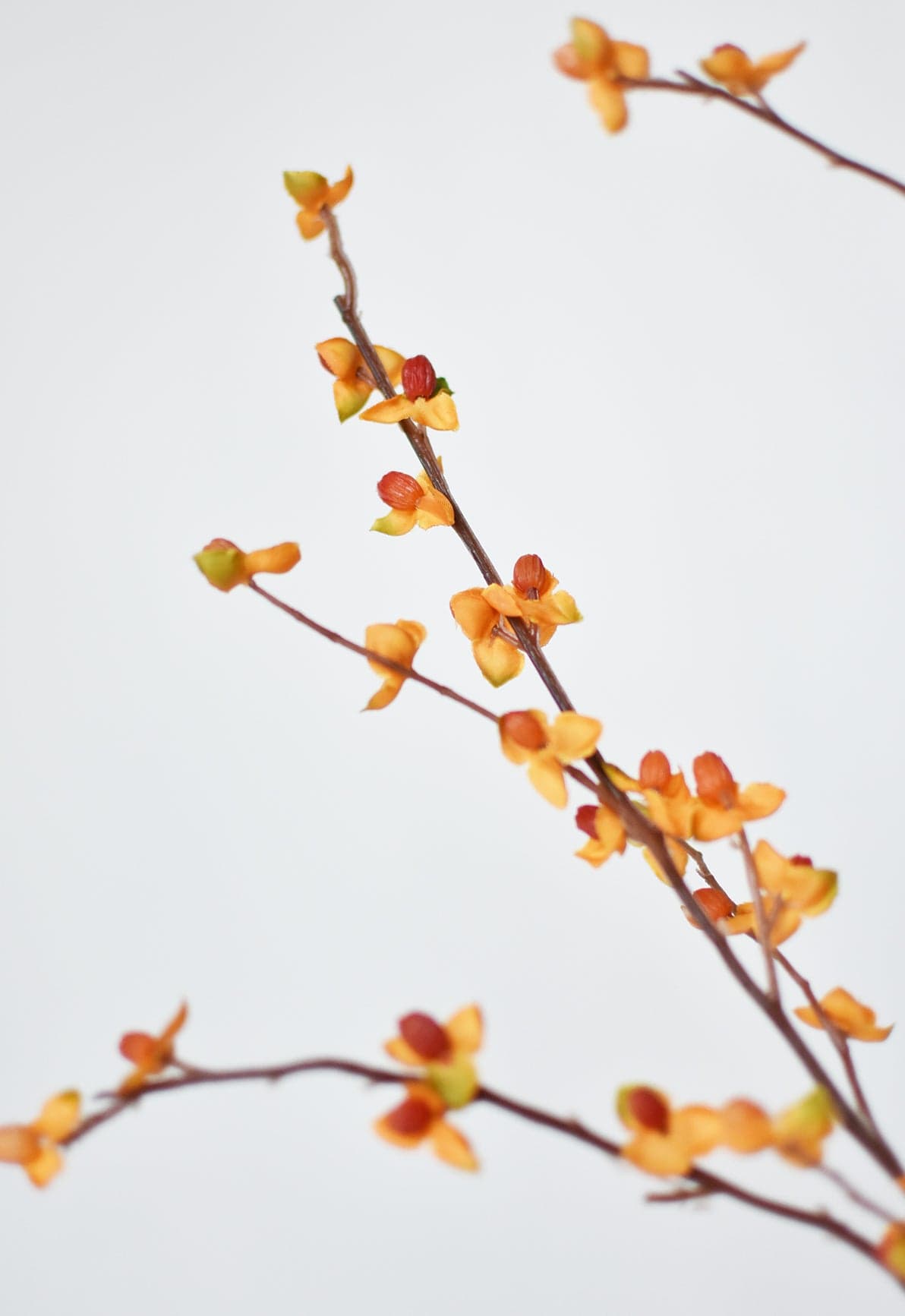 32" Faux Bittersweet Stem (Online exclusive)