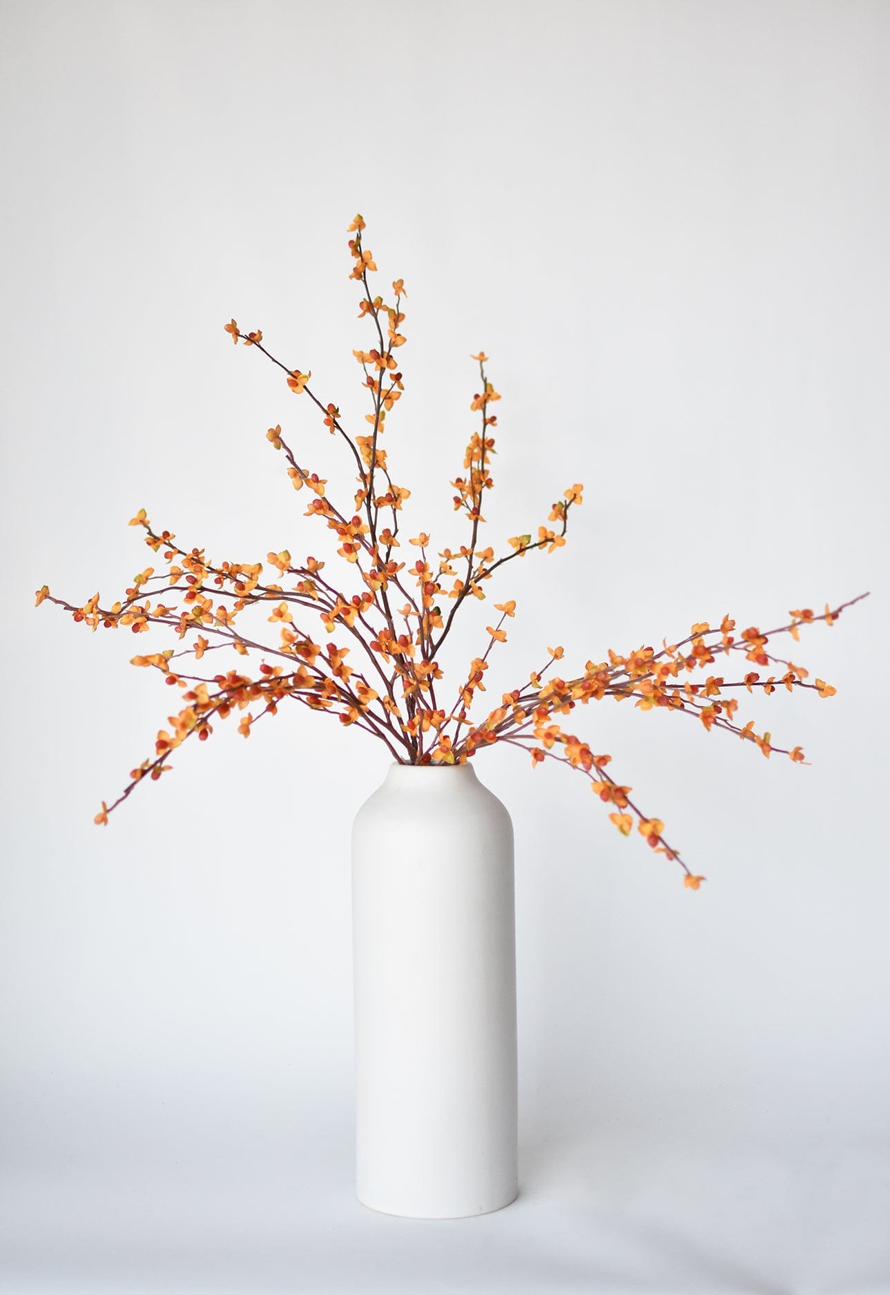 32" Faux Bittersweet Stem (Online exclusive)