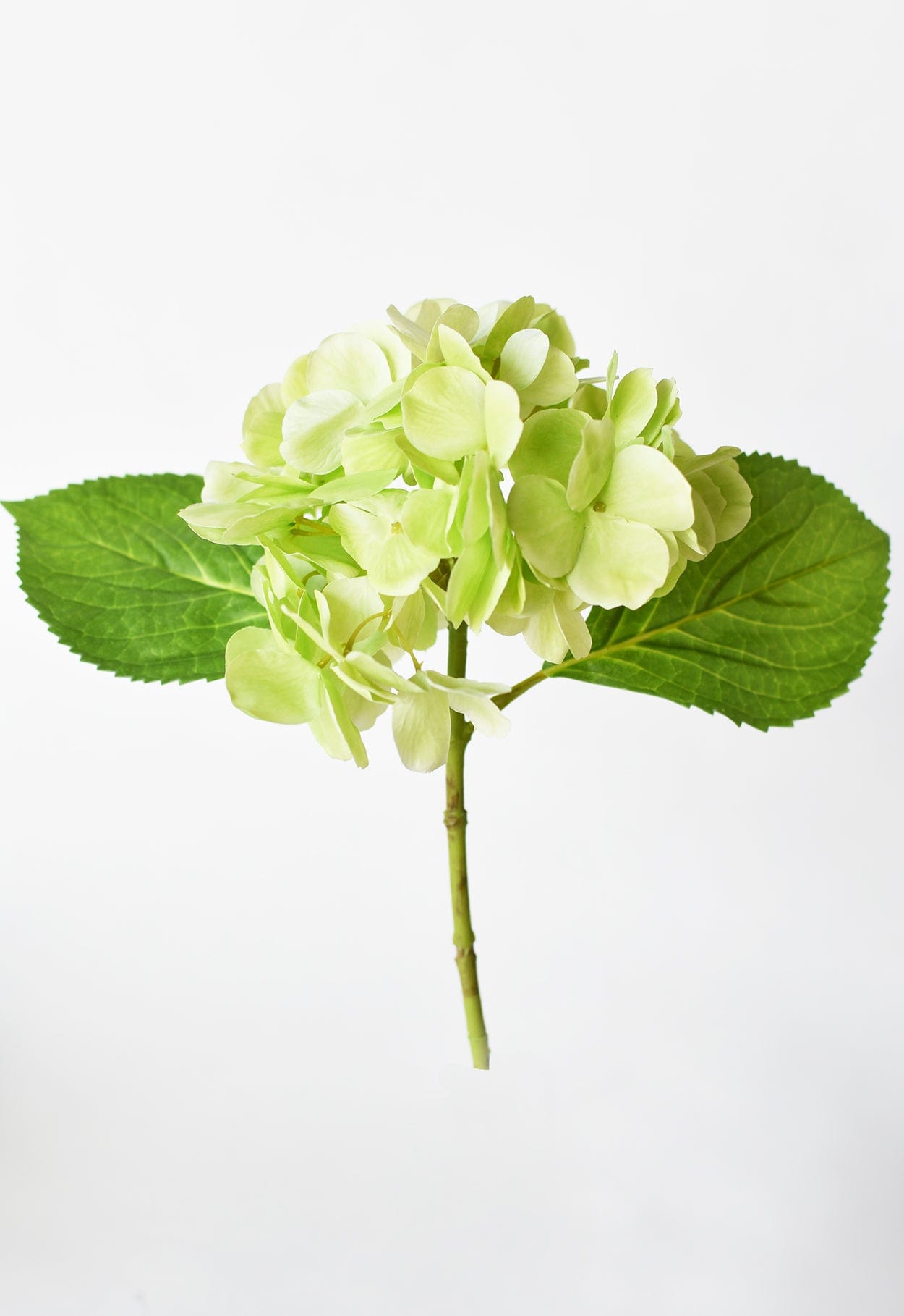 10" Faux Green Hydrangea Stem (Online exclusive)