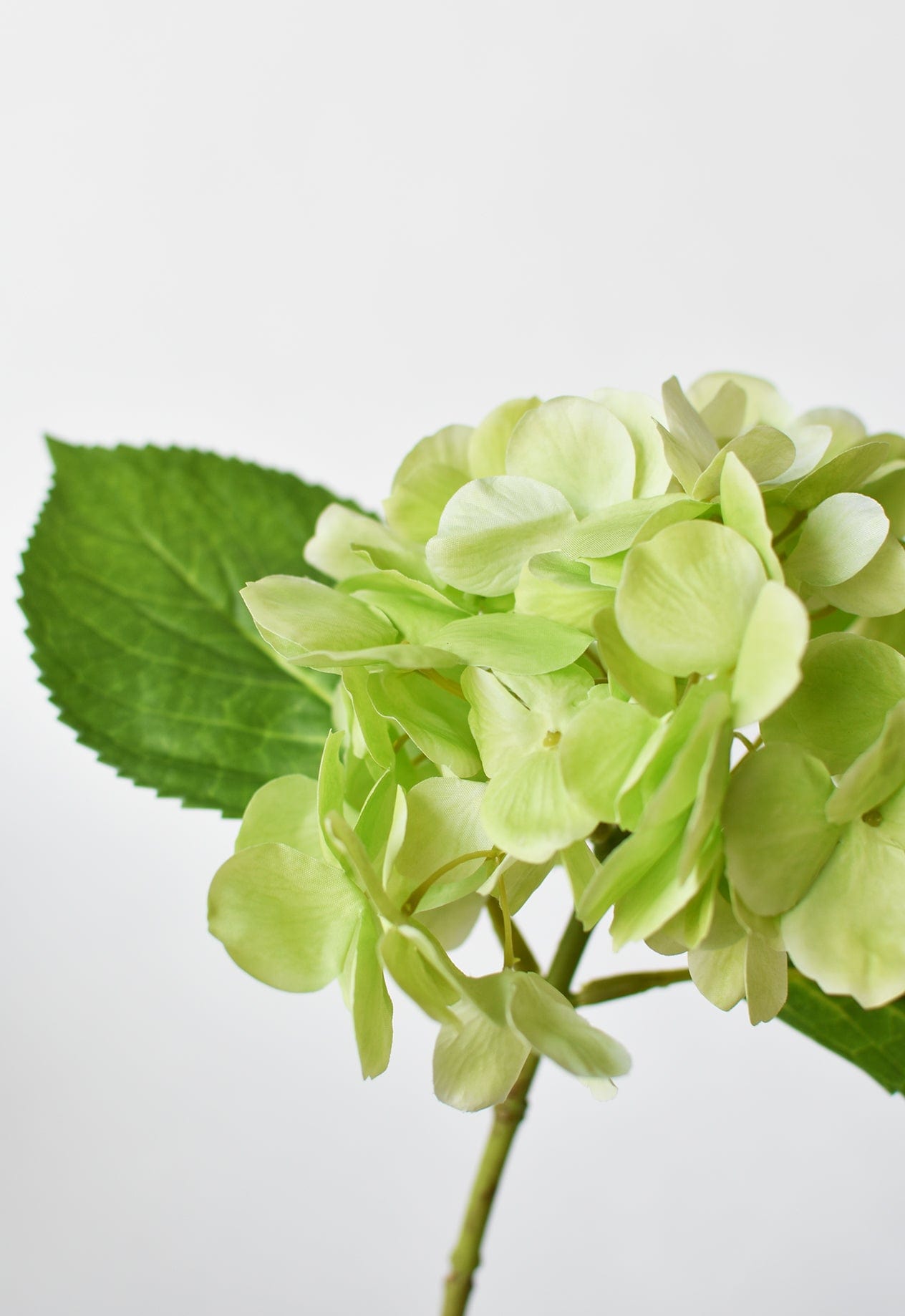 10" Faux Green Hydrangea Stem (Online exclusive)