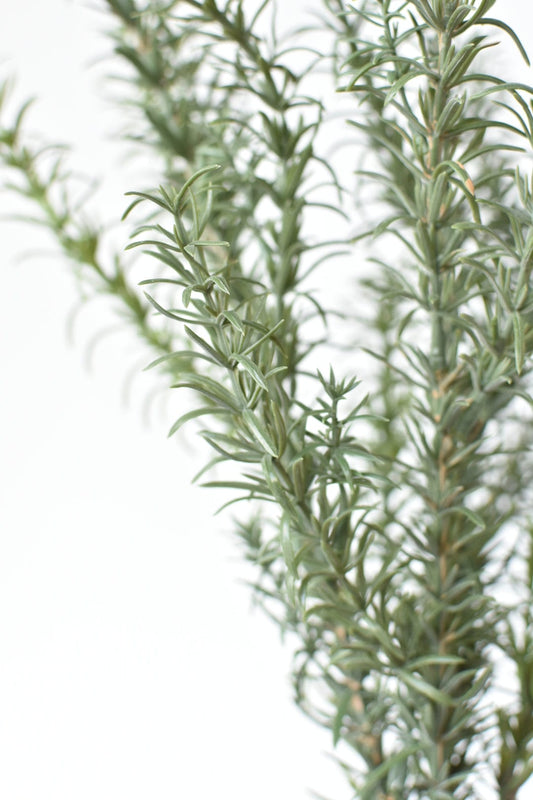 24" Faux Rosemary Bush (Online Exclusive)