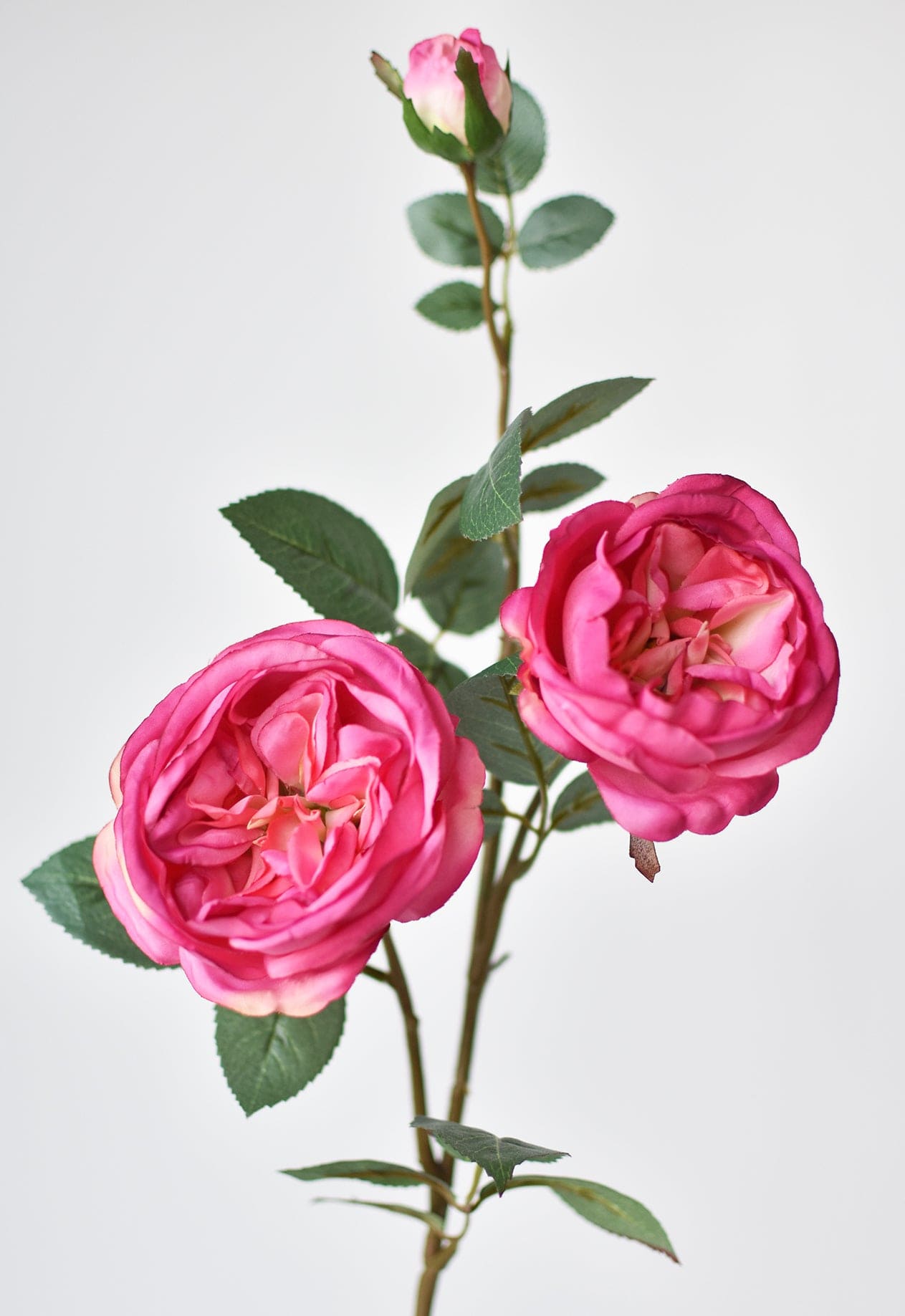 29" Faux Fuchsia Cabbage Rose Stem (Online exclusive)