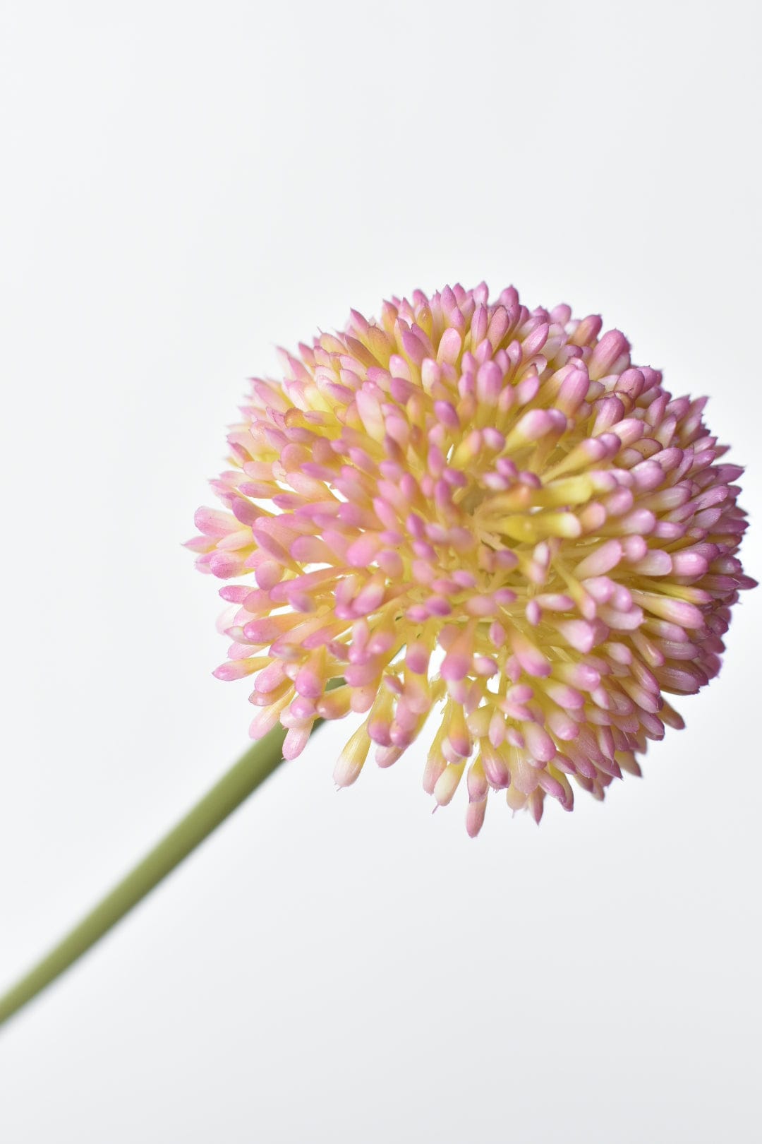 17.5" Faux Lavender Allium Stem (Online exclusive)