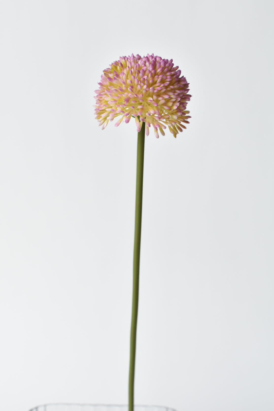 17.5" Faux Lavender Allium Stem (Online exclusive)