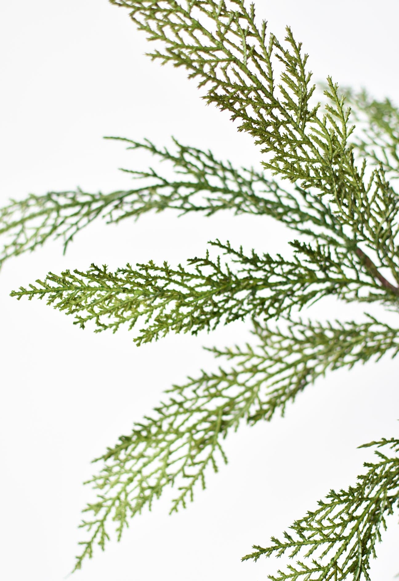 30" Realistic Faux Cedar Stem (Online exclusive)