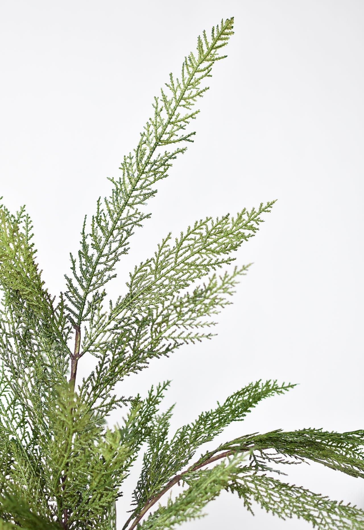 30" Realistic Faux Cedar Stem (Online exclusive)