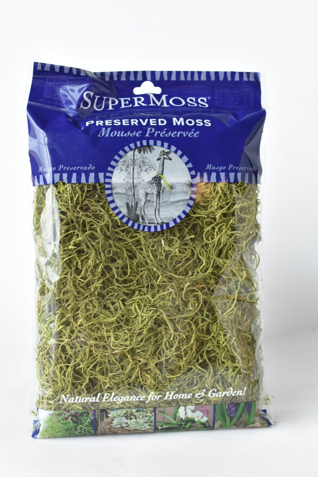 Spanish Moss: Green (Online exclusive)