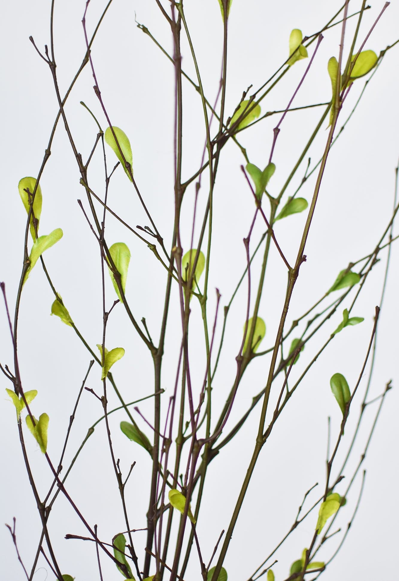 26" Branches with Faux Green Leaves (online exclusive)
