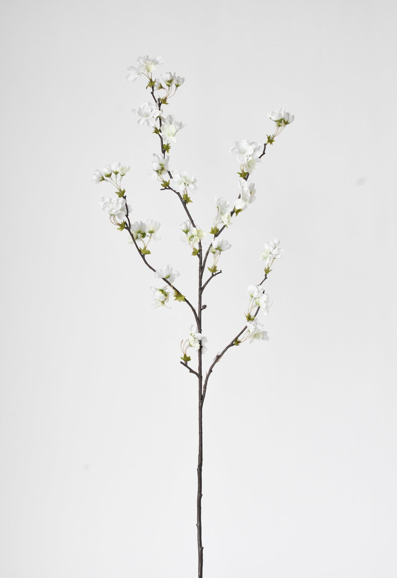 36" Faux Quince Blossom Cream / White Stem Flowering Branch (Online exclusive)