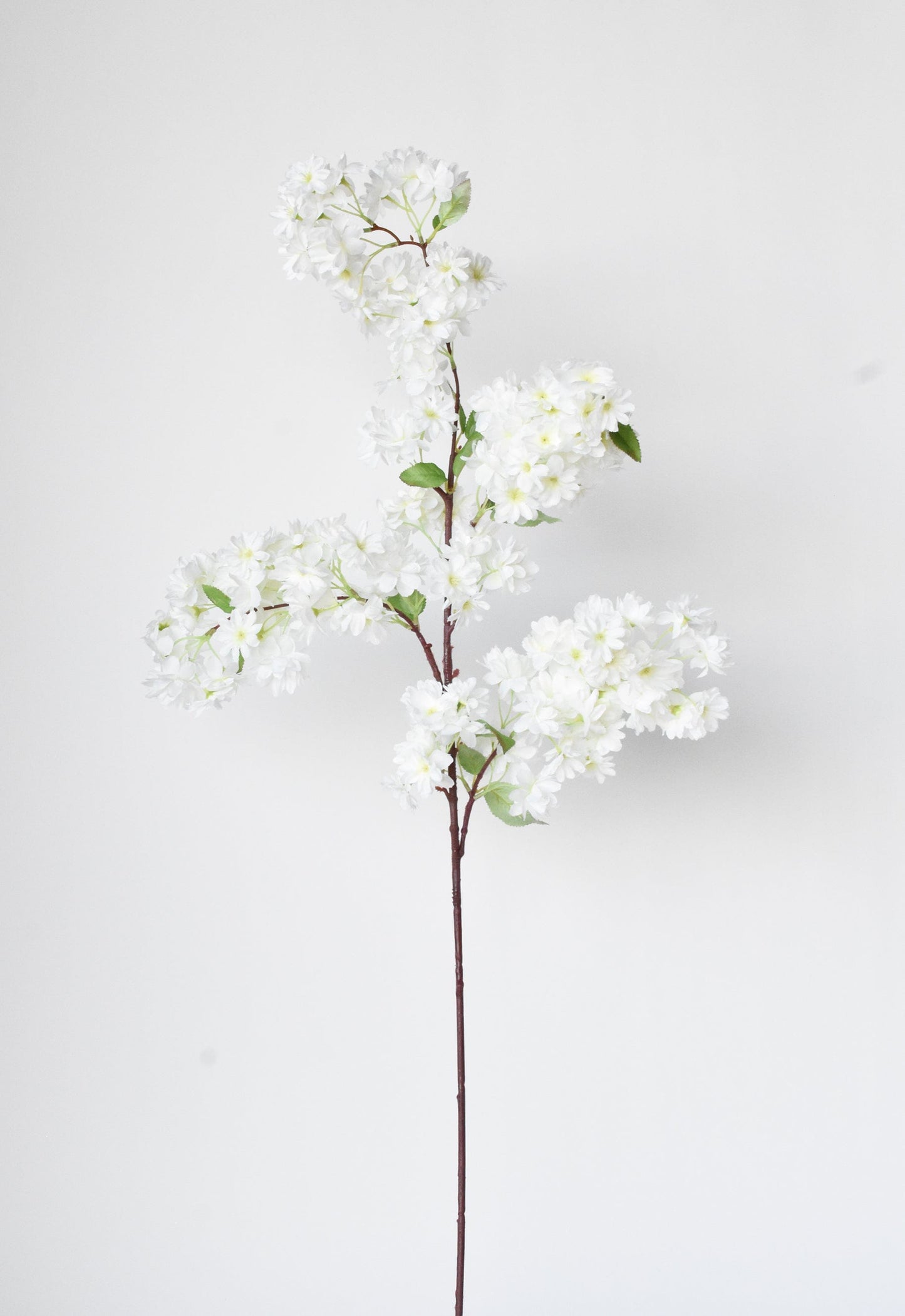 40" Faux Cherry Blossom Branch Stem Cream  (online exclusive)