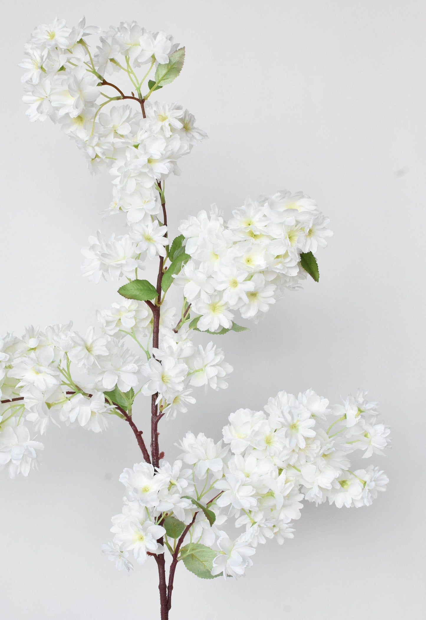 40" Faux Cherry Blossom Branch Stem Cream  (online exclusive)