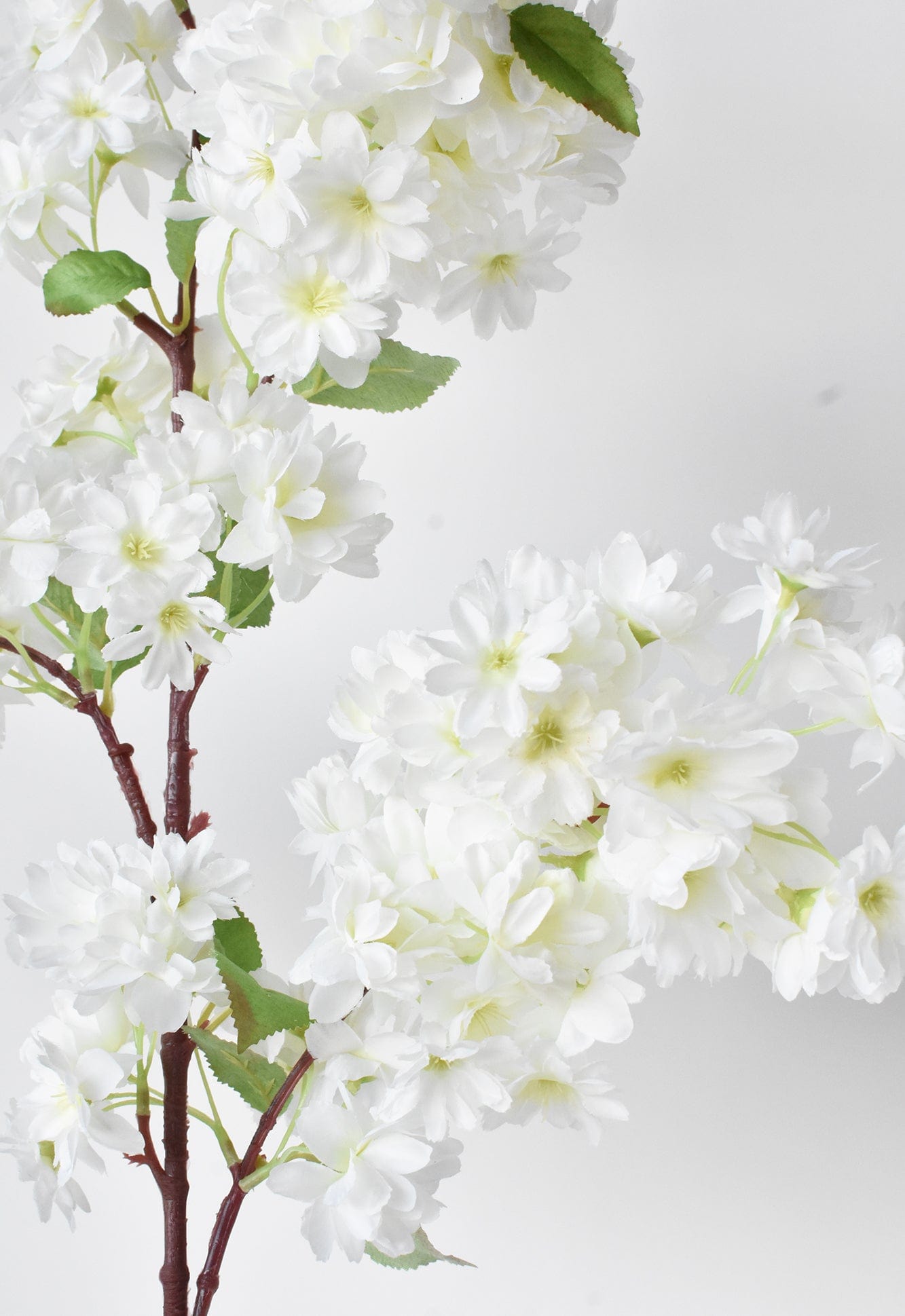 40" Faux Cherry Blossom Branch Stem Cream  (online exclusive)
