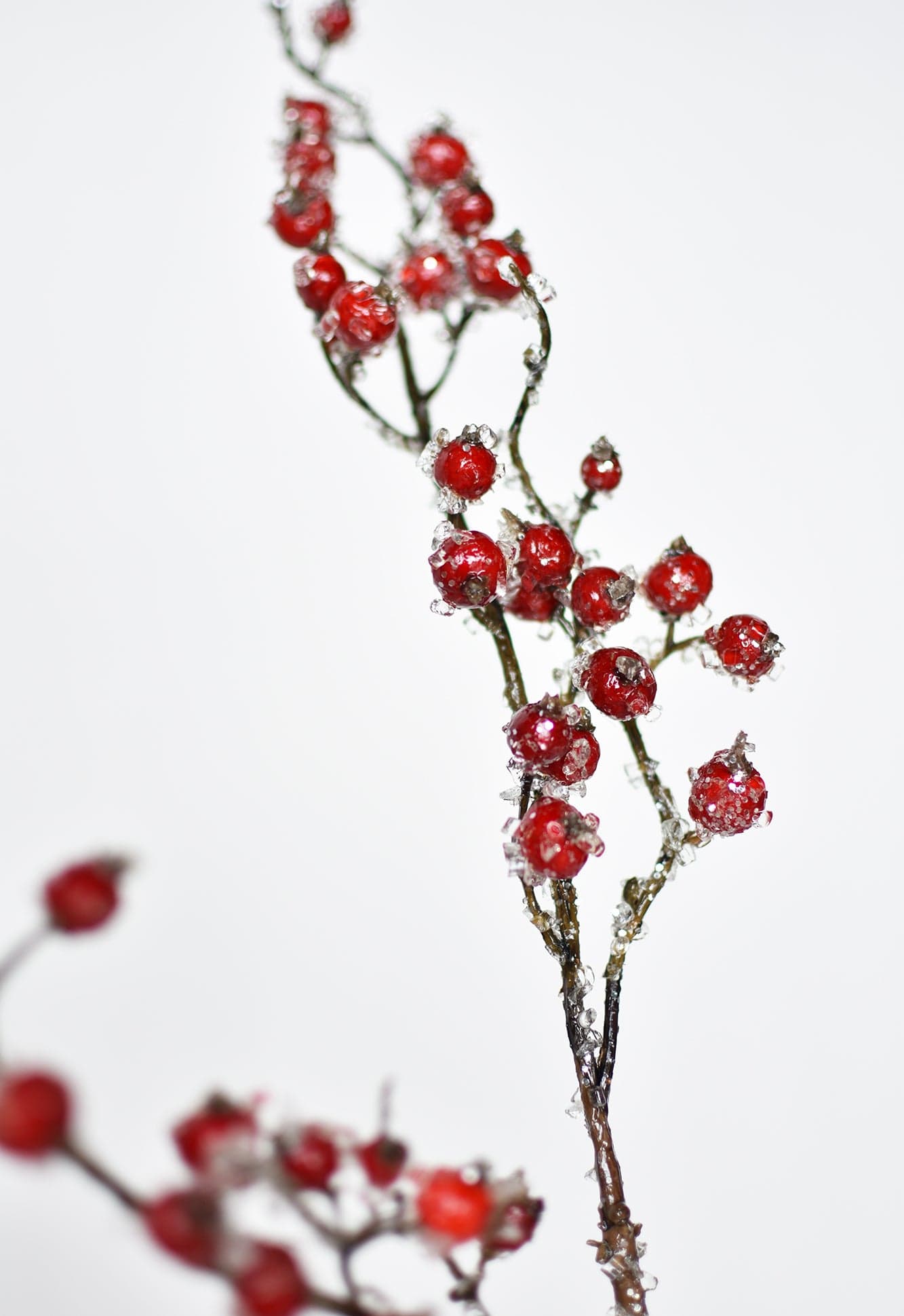 29" Faux Iced Red Berry Stem (Online exclusive)
