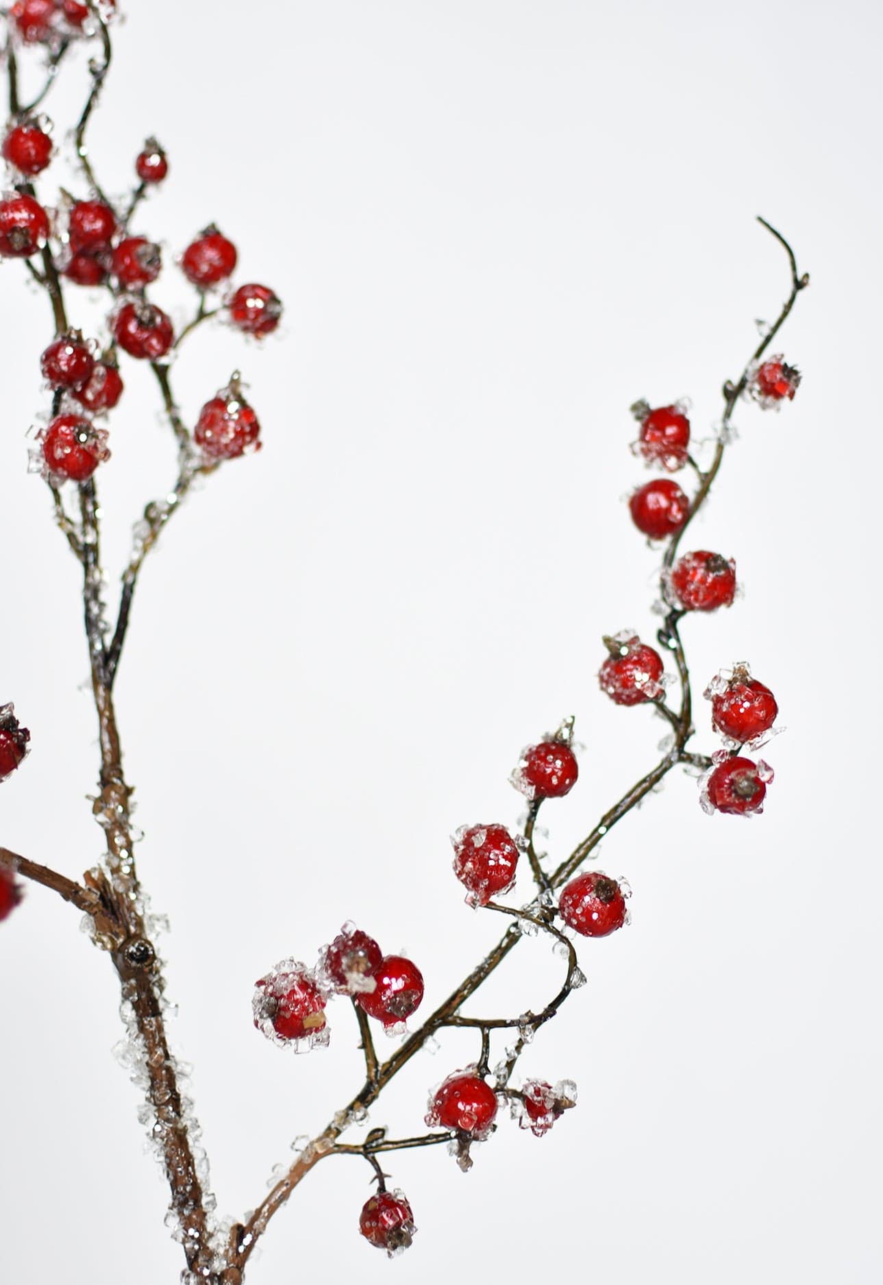 29" Faux Iced Red Berry Stem (Online exclusive)