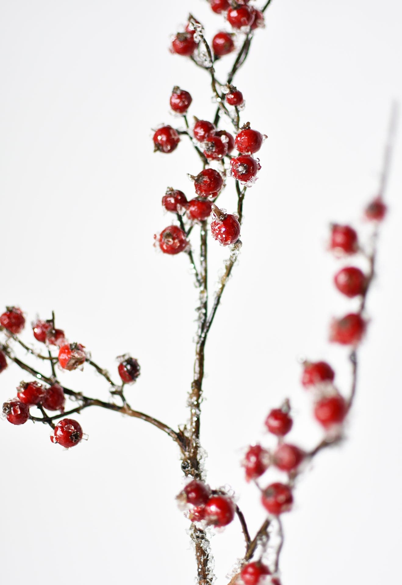 29" Faux Iced Red Berry Stem (Online exclusive)