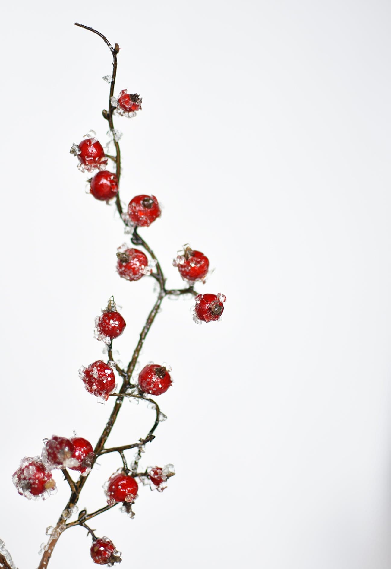 29" Faux Iced Red Berry Stem (Online exclusive)