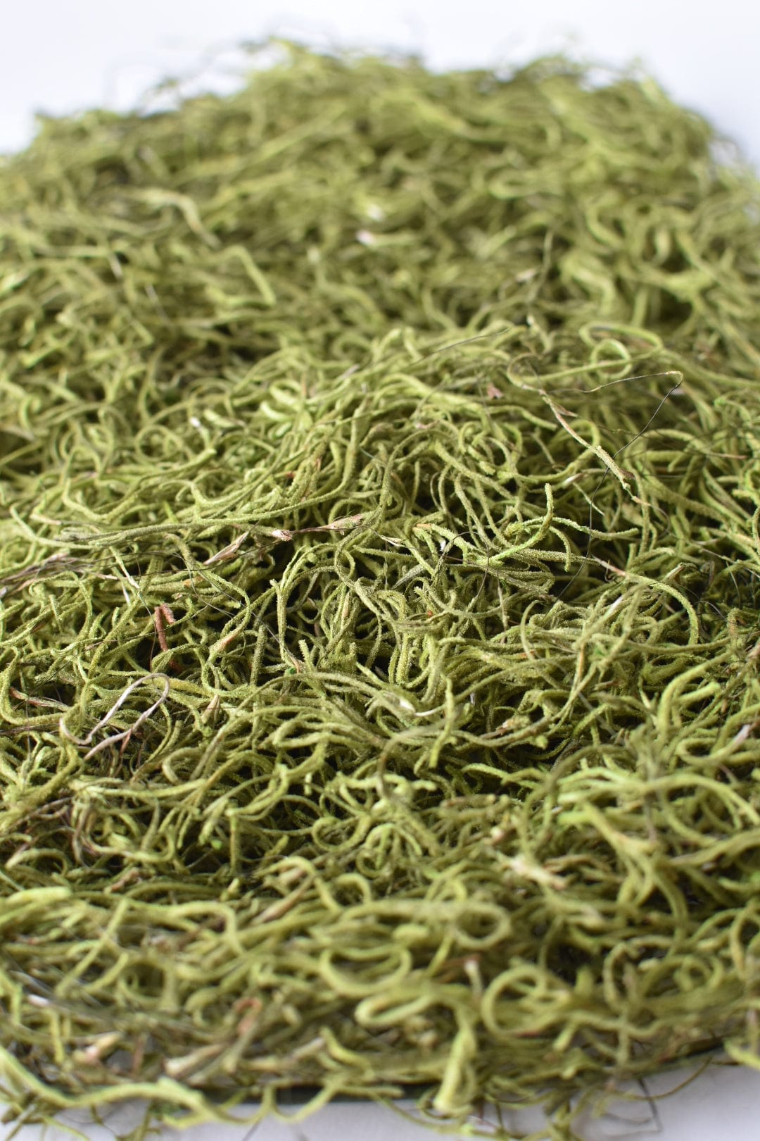 Spanish Moss: Green (Online exclusive)