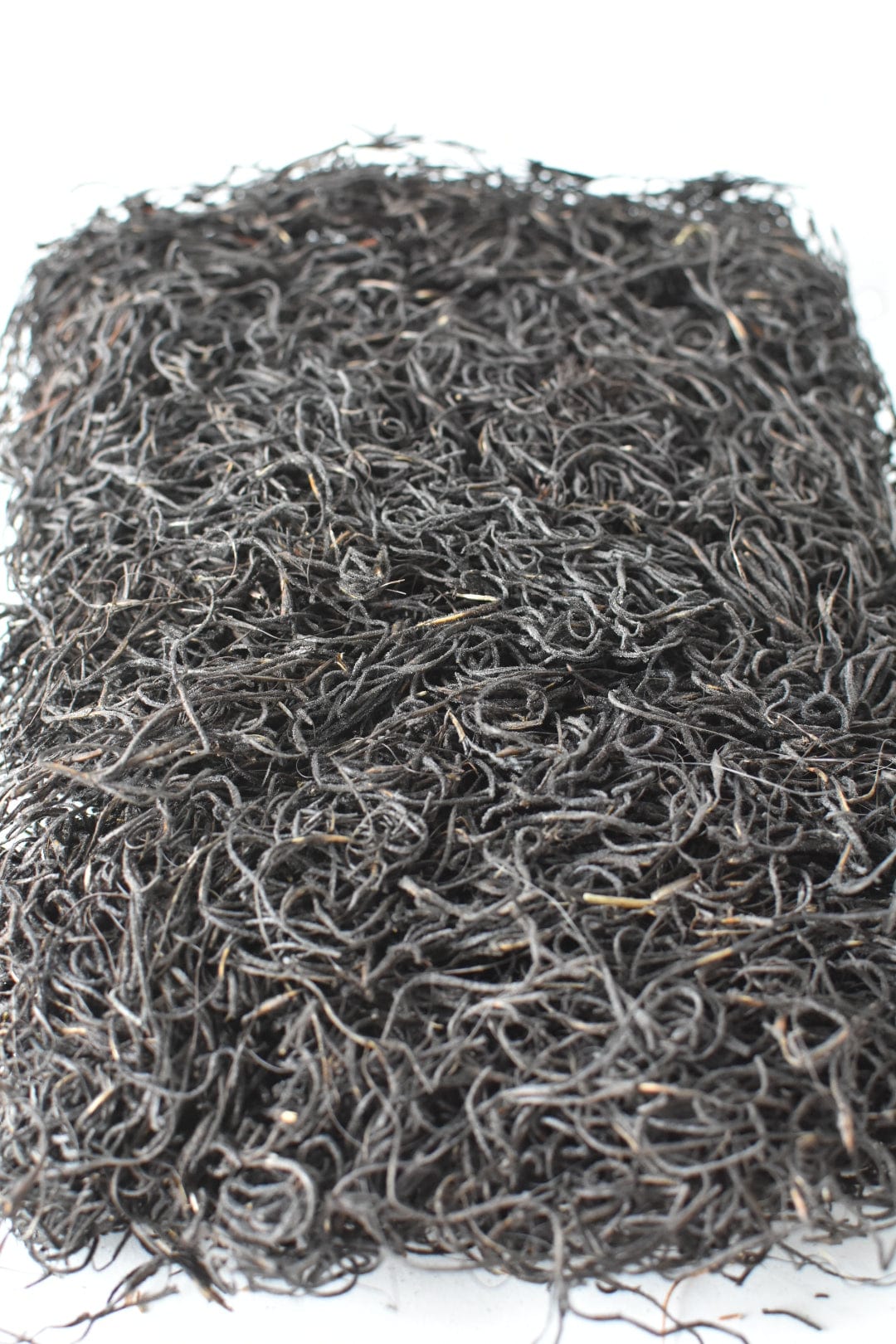 Spanish Moss: Black (Online exclusive)