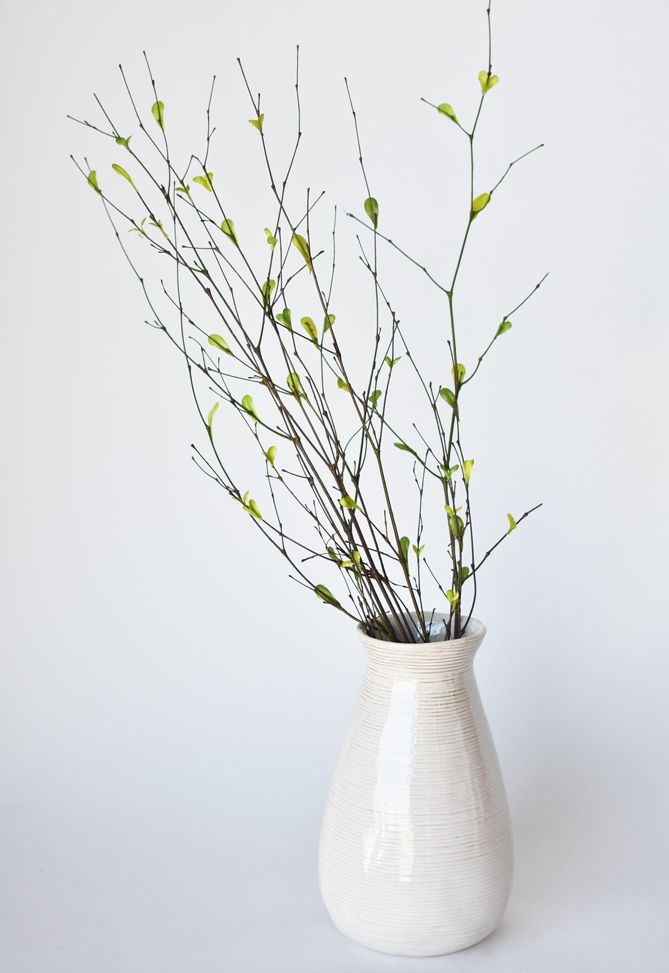 26" Branches with Faux Green Leaves (online exclusive)