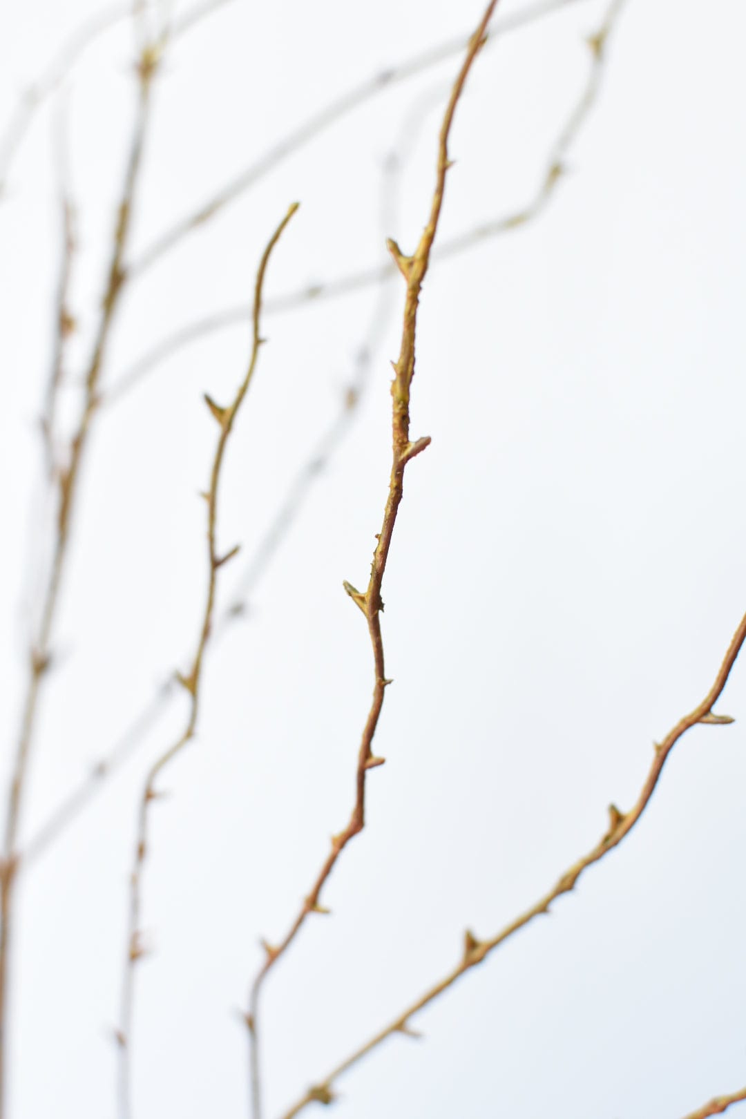 40" Faux Light Brown Twig Branch Stem (online exclusive)