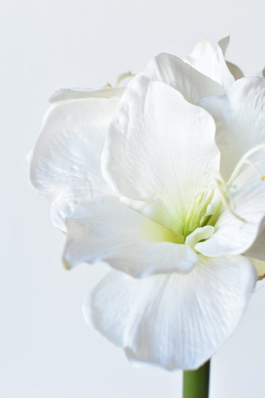 29" Faux White Amaryllis Stem (Online Exclusive)