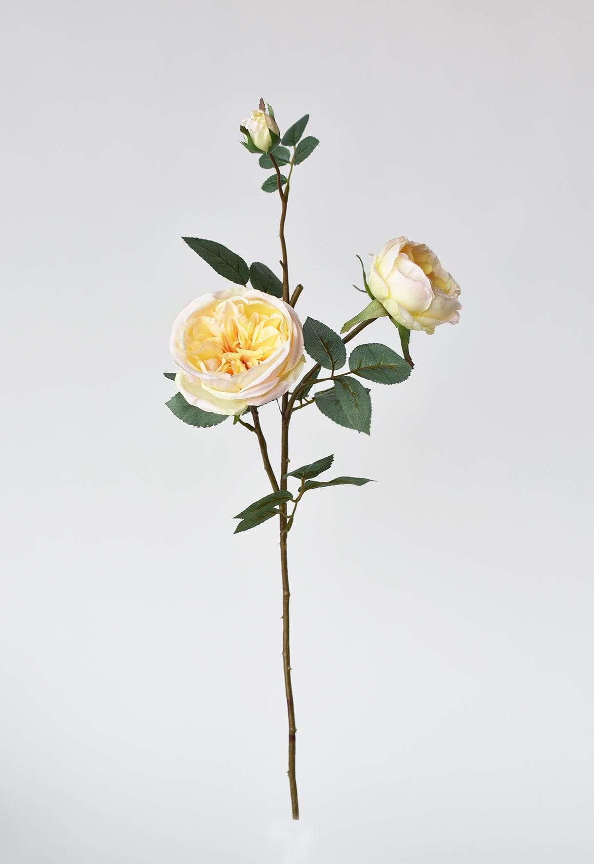 29" Faux Cabbage Rose Stem Yellow / Apricot (Online exclusive)