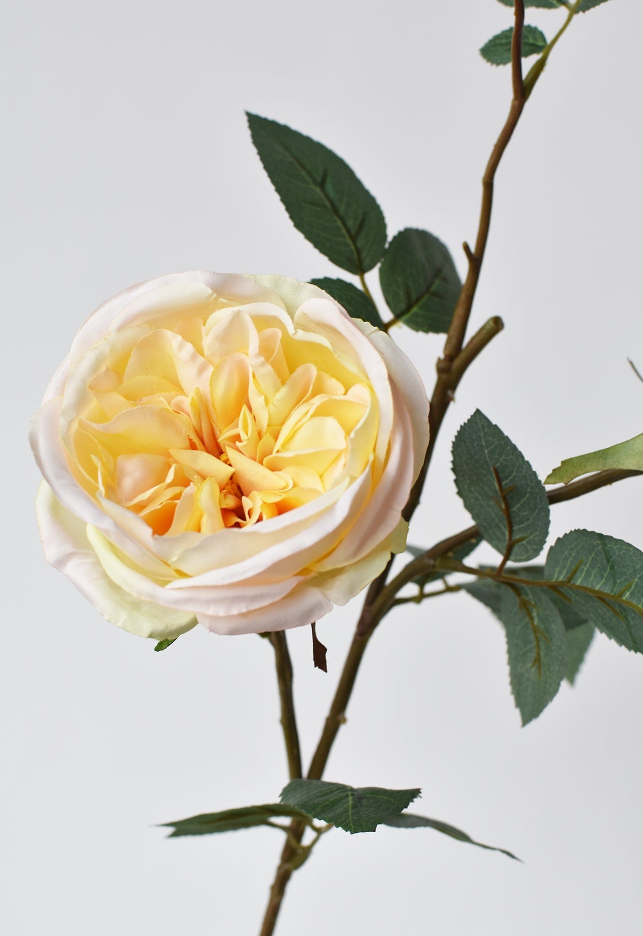 29" Faux Cabbage Rose Stem Yellow / Apricot (Online exclusive)