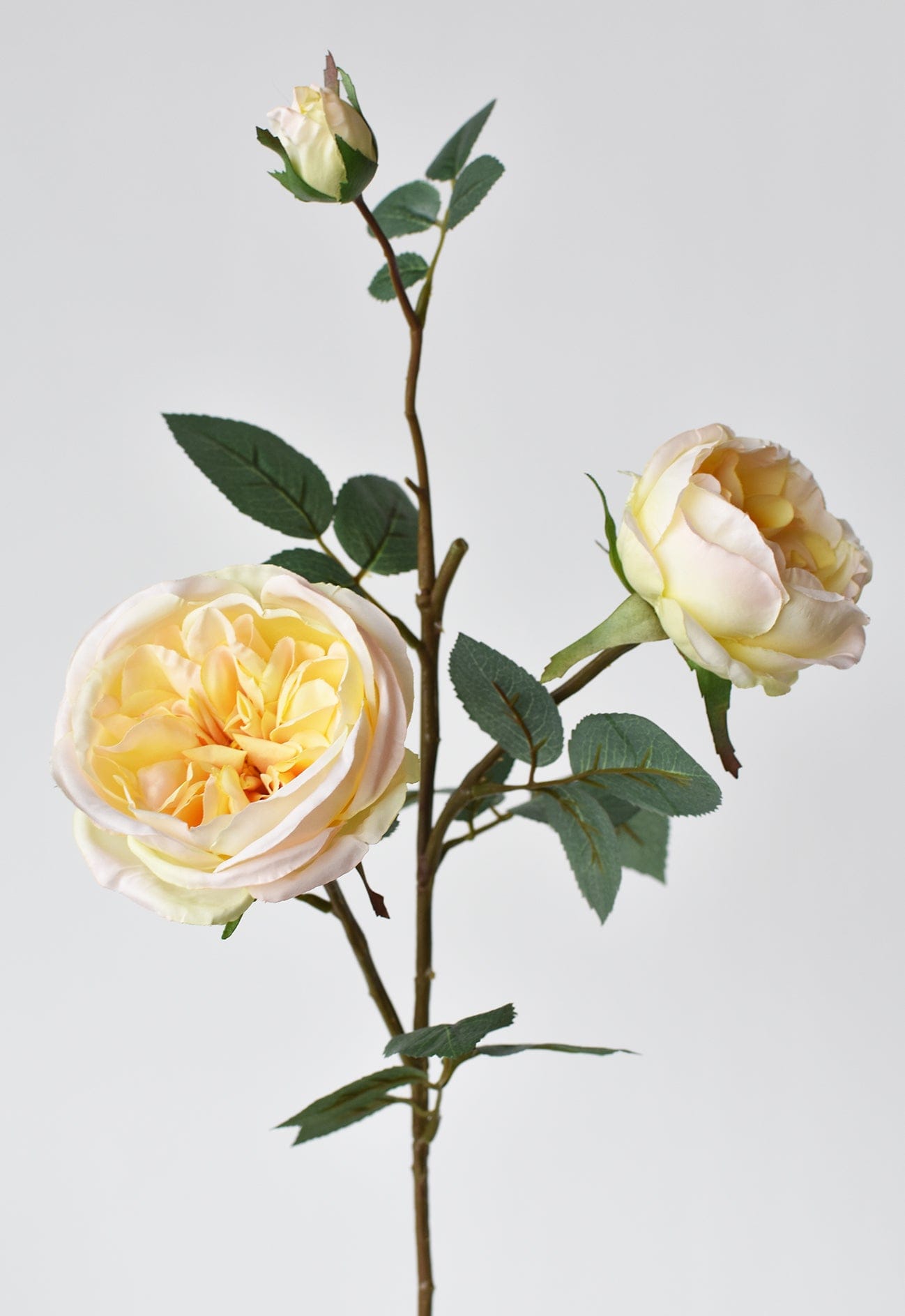 29" Faux Cabbage Rose Stem Yellow / Apricot (Online exclusive)