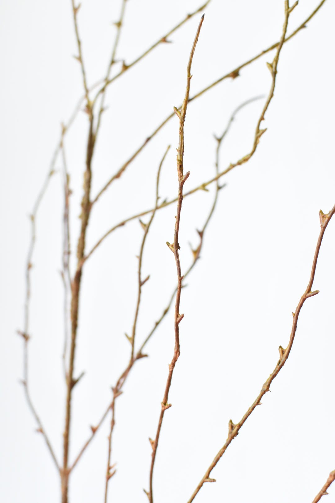 40" Faux Light Brown Twig Branch Stem (online exclusive)