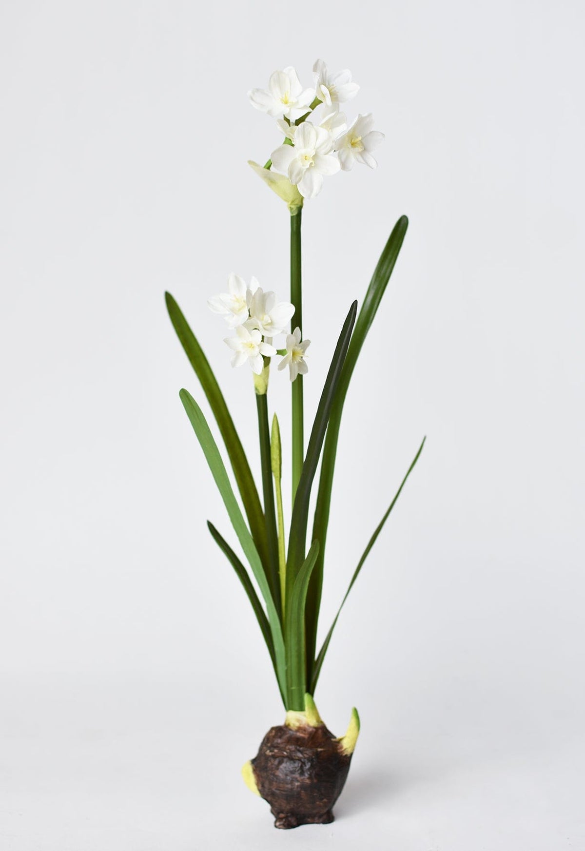 17.5" Faux Paperwhites w/ Bulb (Online exclusive)