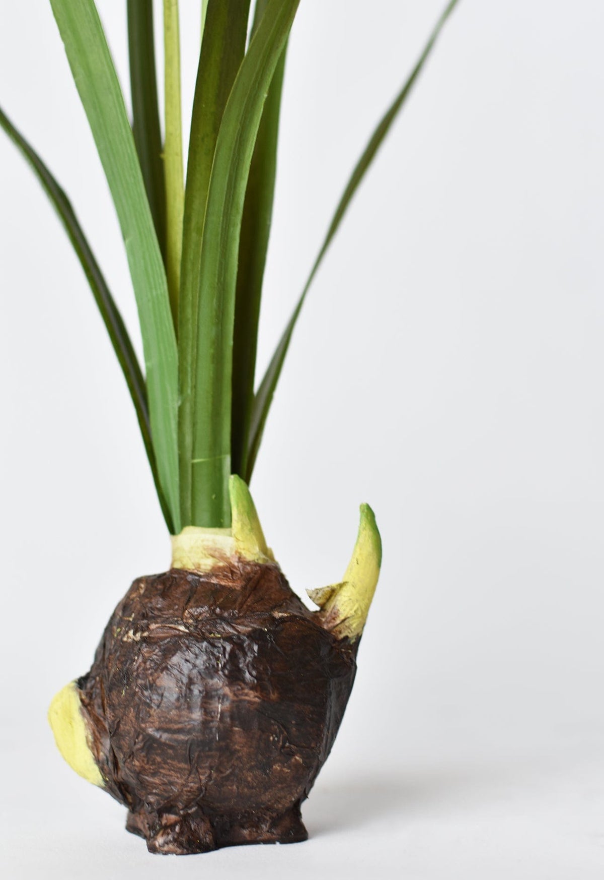 17.5" Faux Paperwhites w/ Bulb (Online exclusive)