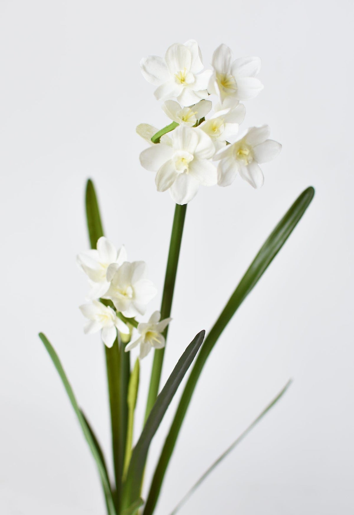 17.5" Faux Paperwhites w/ Bulb (Online exclusive)