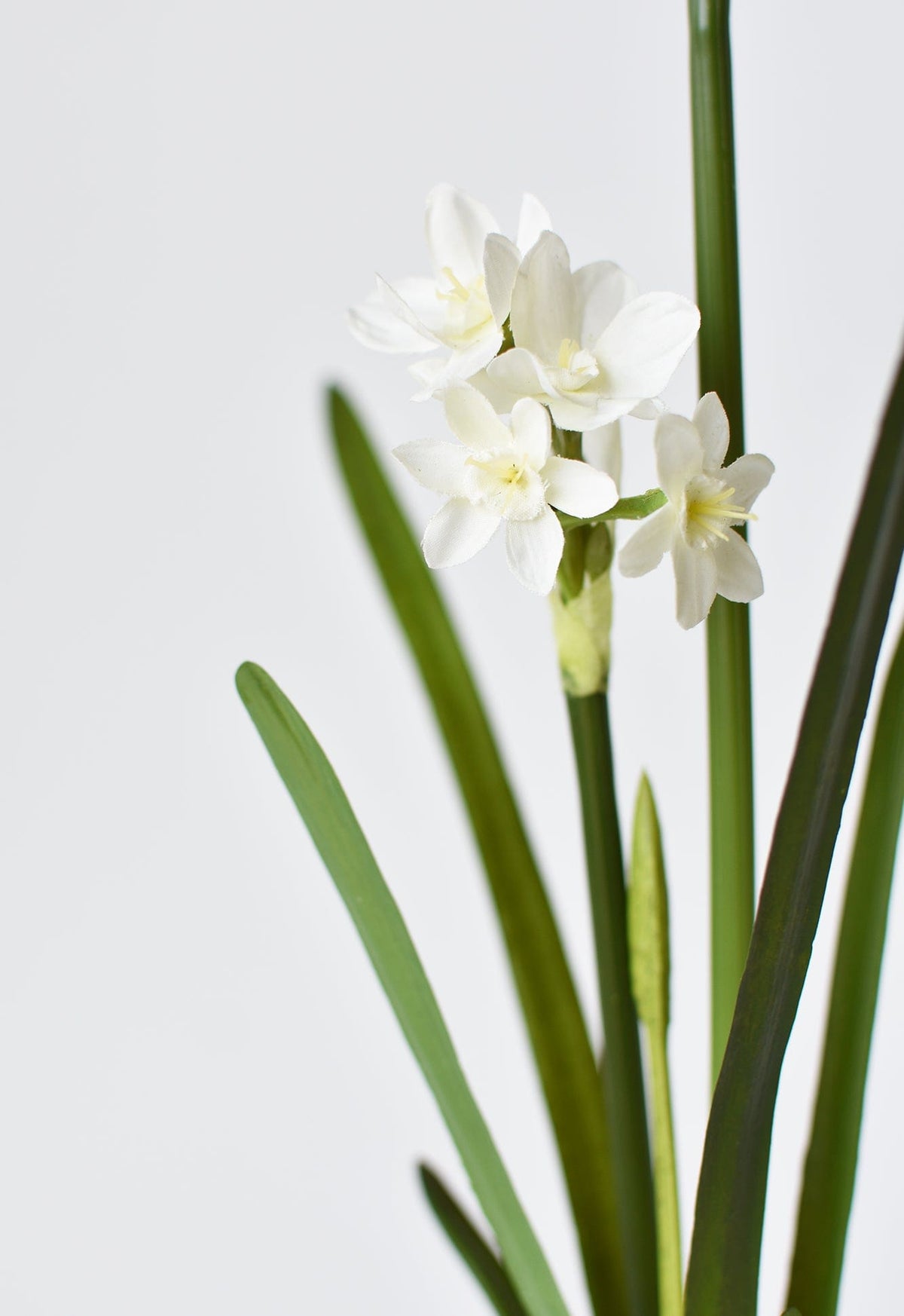 17.5" Faux Paperwhites w/ Bulb (Online exclusive)