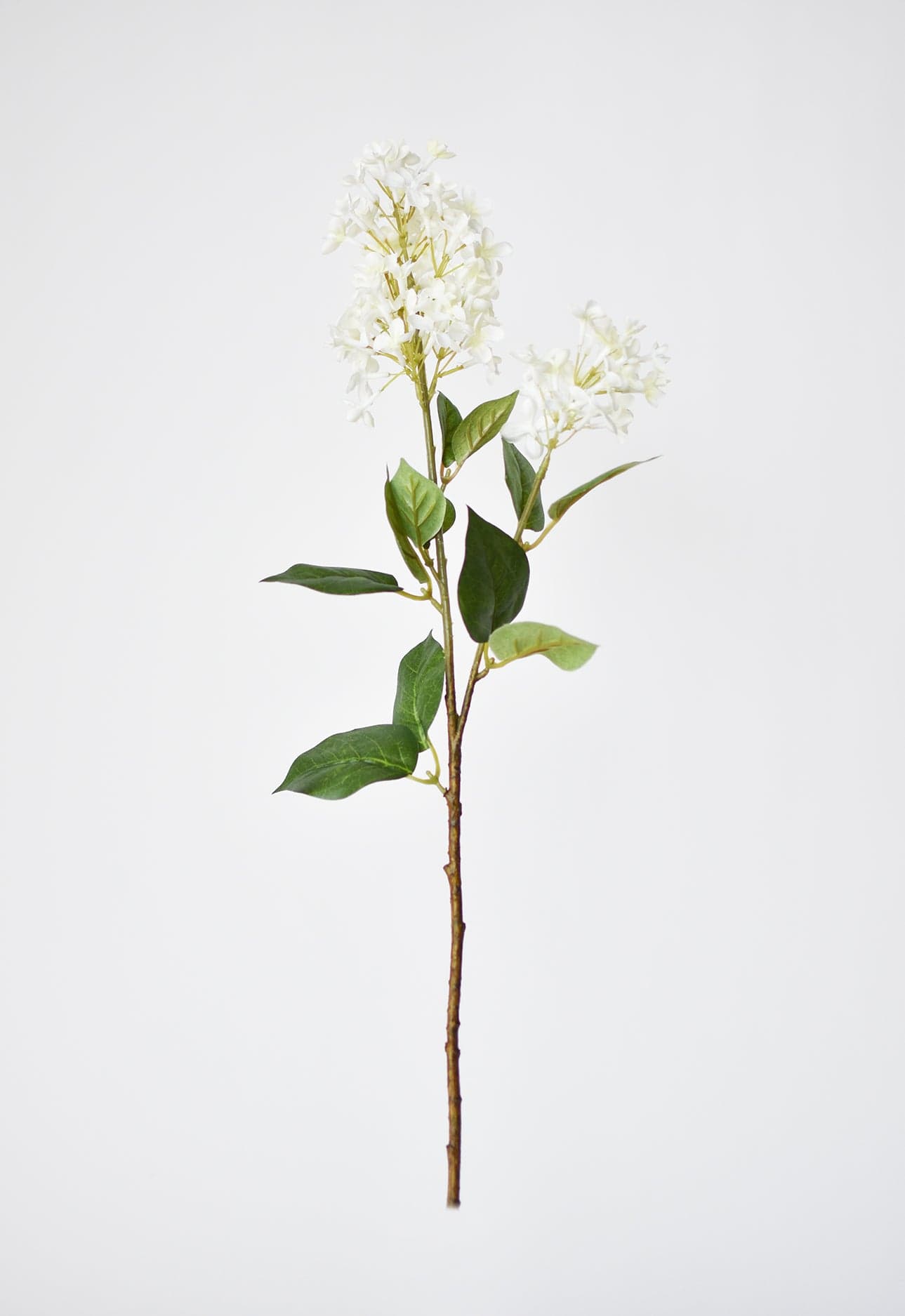 28.5" Faux White English Lilac Stem (Online exclusive)