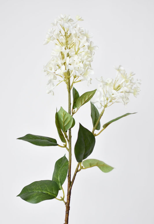 28.5" Faux White English Lilac Stem (Online exclusive)