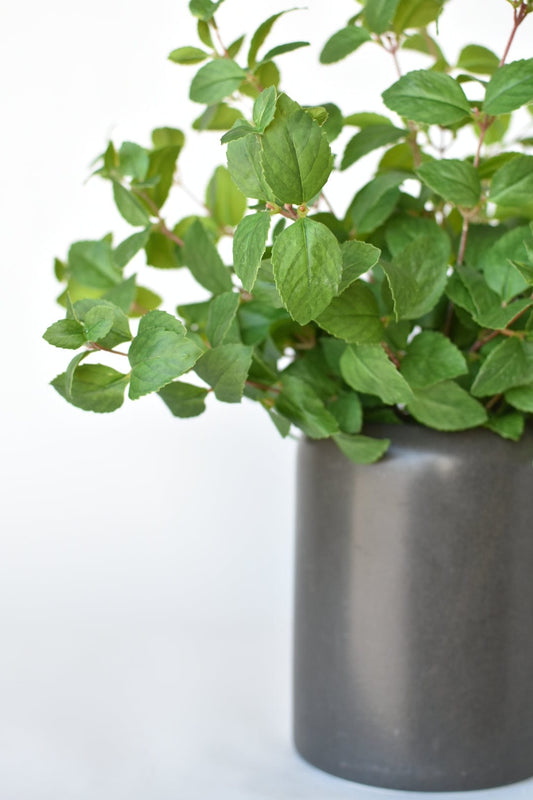 17" Faux Greenery Bush (Online Exclusive)