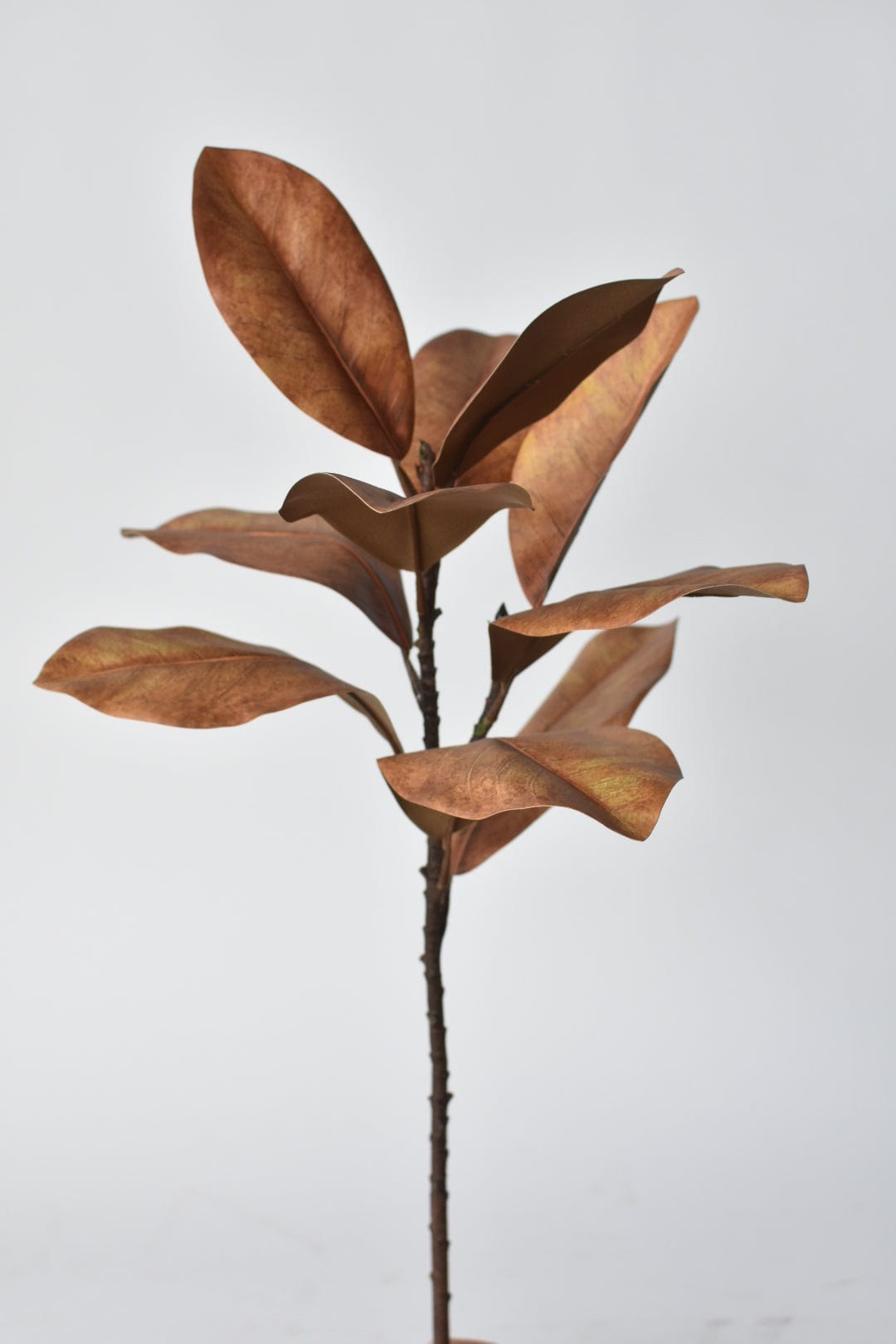 21" Faux Magnolia Leaf Stem : Tobacco (Online exclusive)