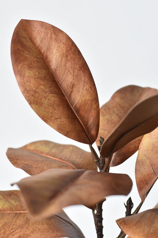 21" Faux Magnolia Leaf Stem : Tobacco (Online exclusive)