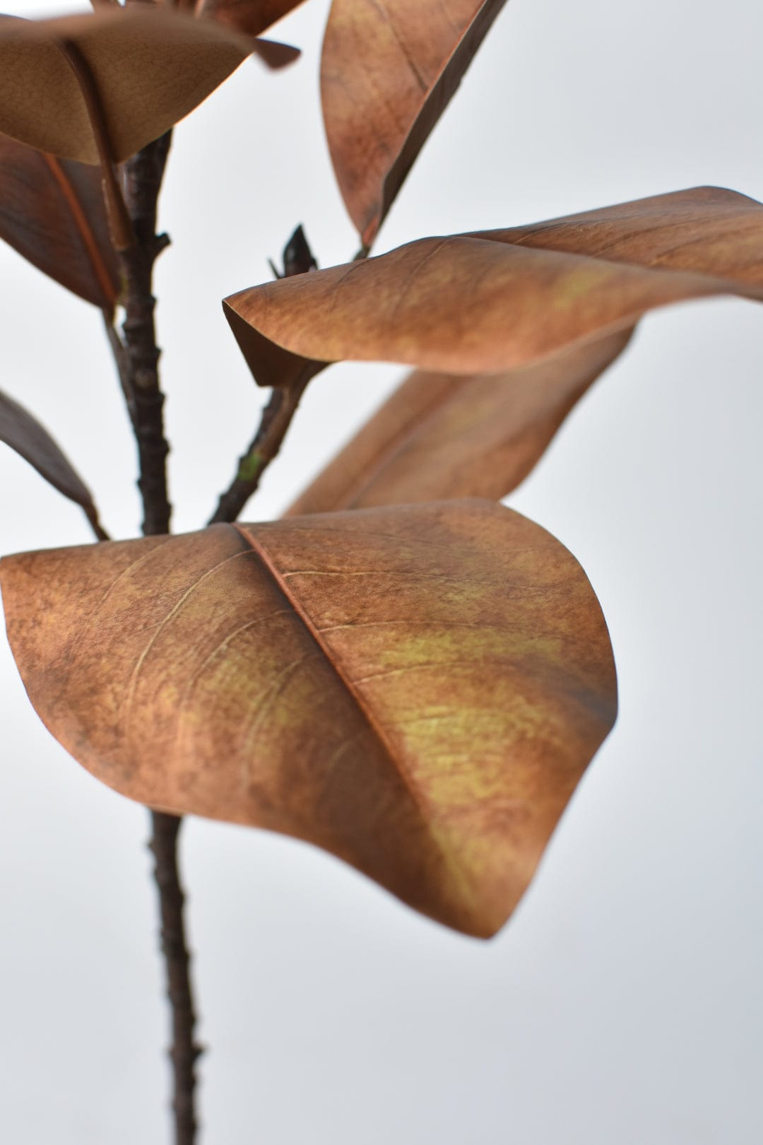 21" Faux Magnolia Leaf Stem : Tobacco (Online exclusive)