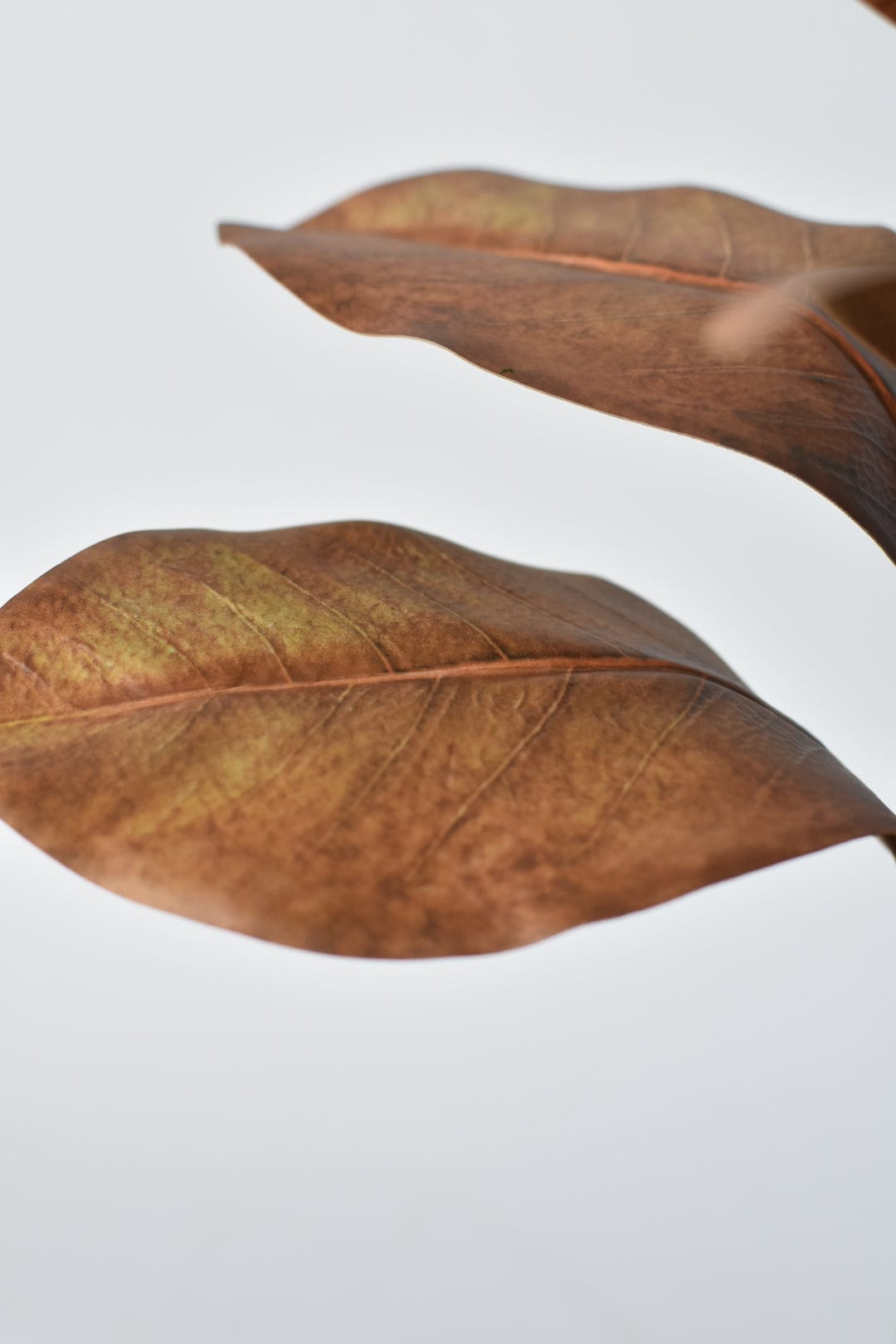 21" Faux Magnolia Leaf Stem : Tobacco (Online exclusive)