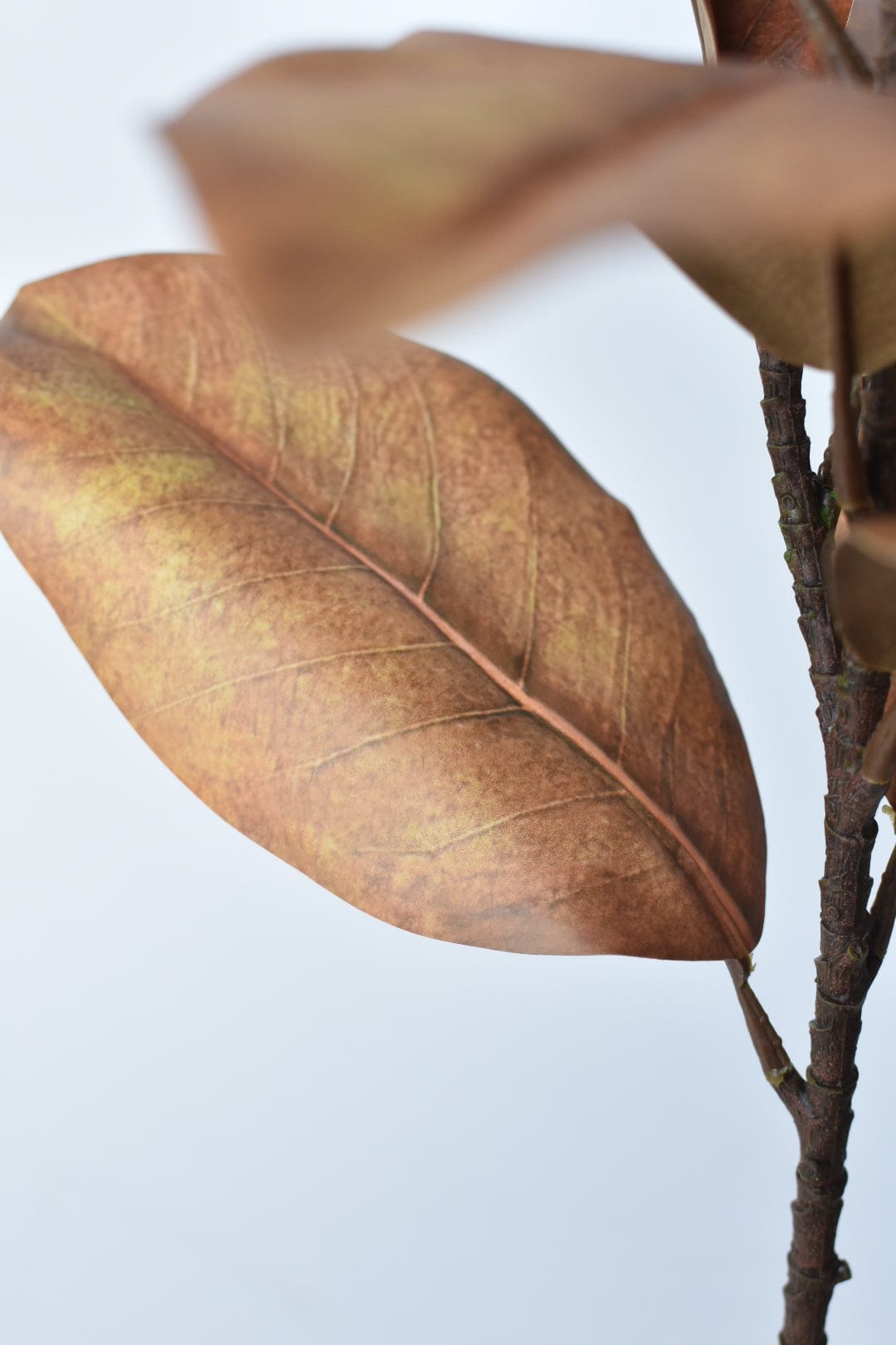 21" Faux Magnolia Leaf Stem : Tobacco (Online exclusive)