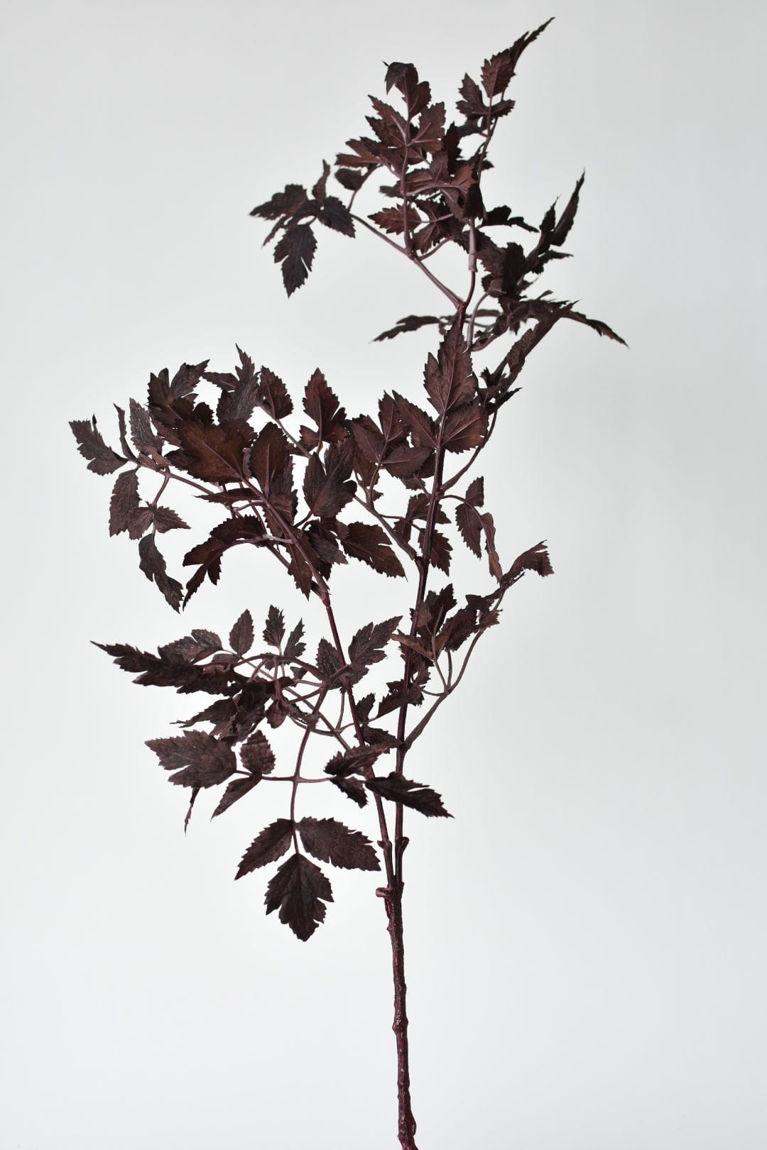 31" Faux Cimicifunga Ramosa Stem: Plum (online exclusive)