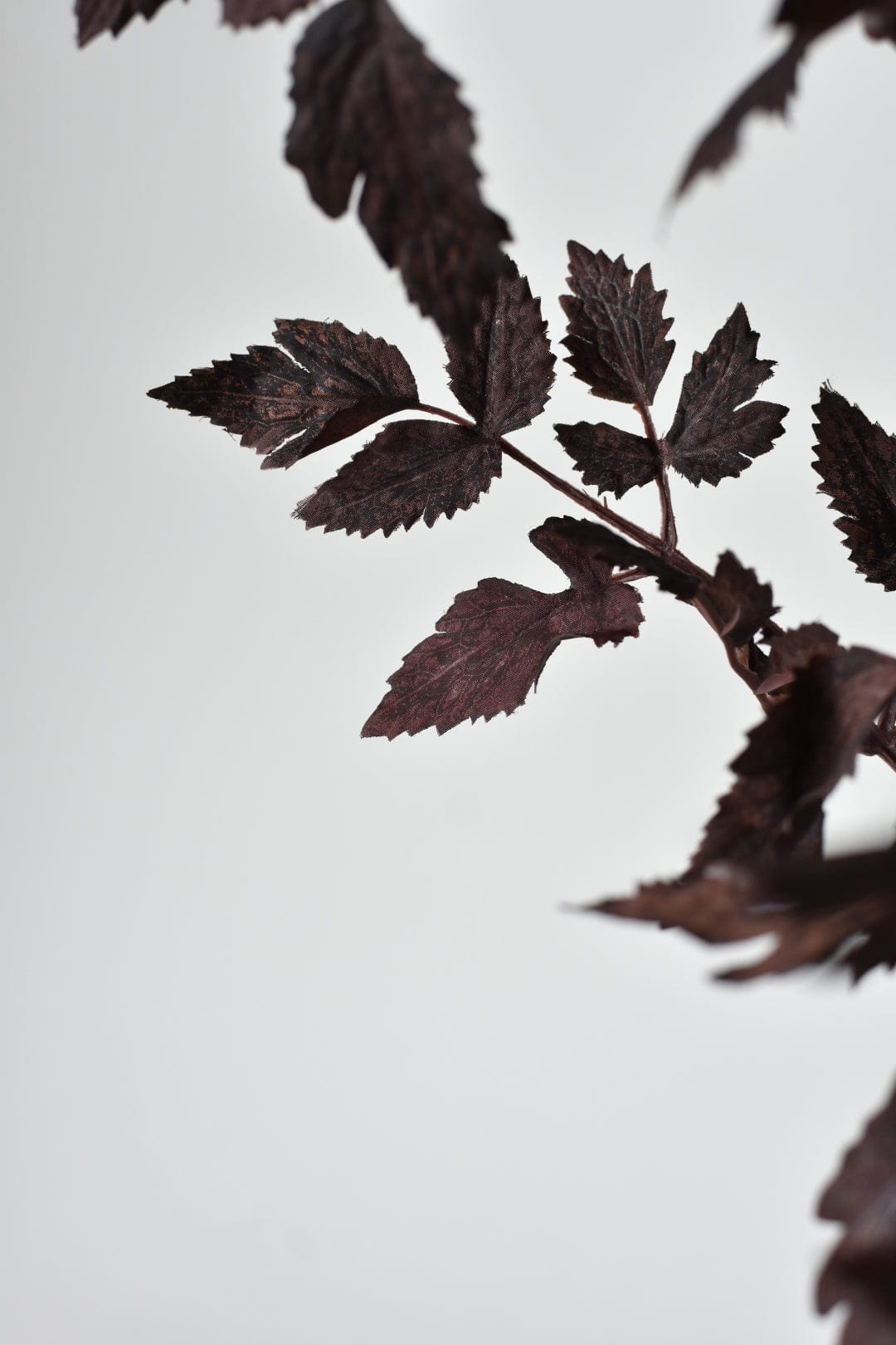 31" Faux Cimicifunga Ramosa Stem: Plum (online exclusive)