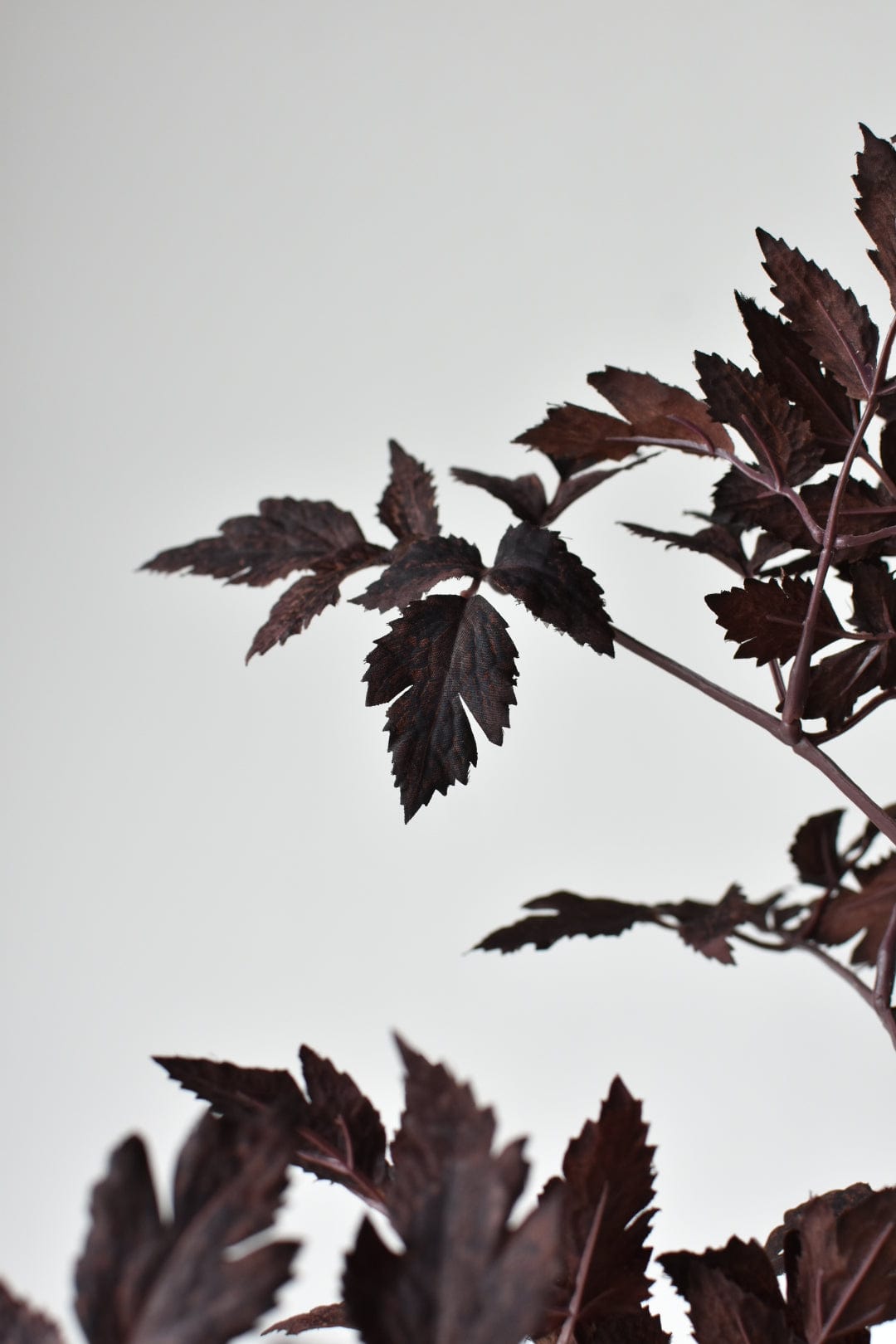 31" Faux Cimicifunga Ramosa Stem: Plum (online exclusive)