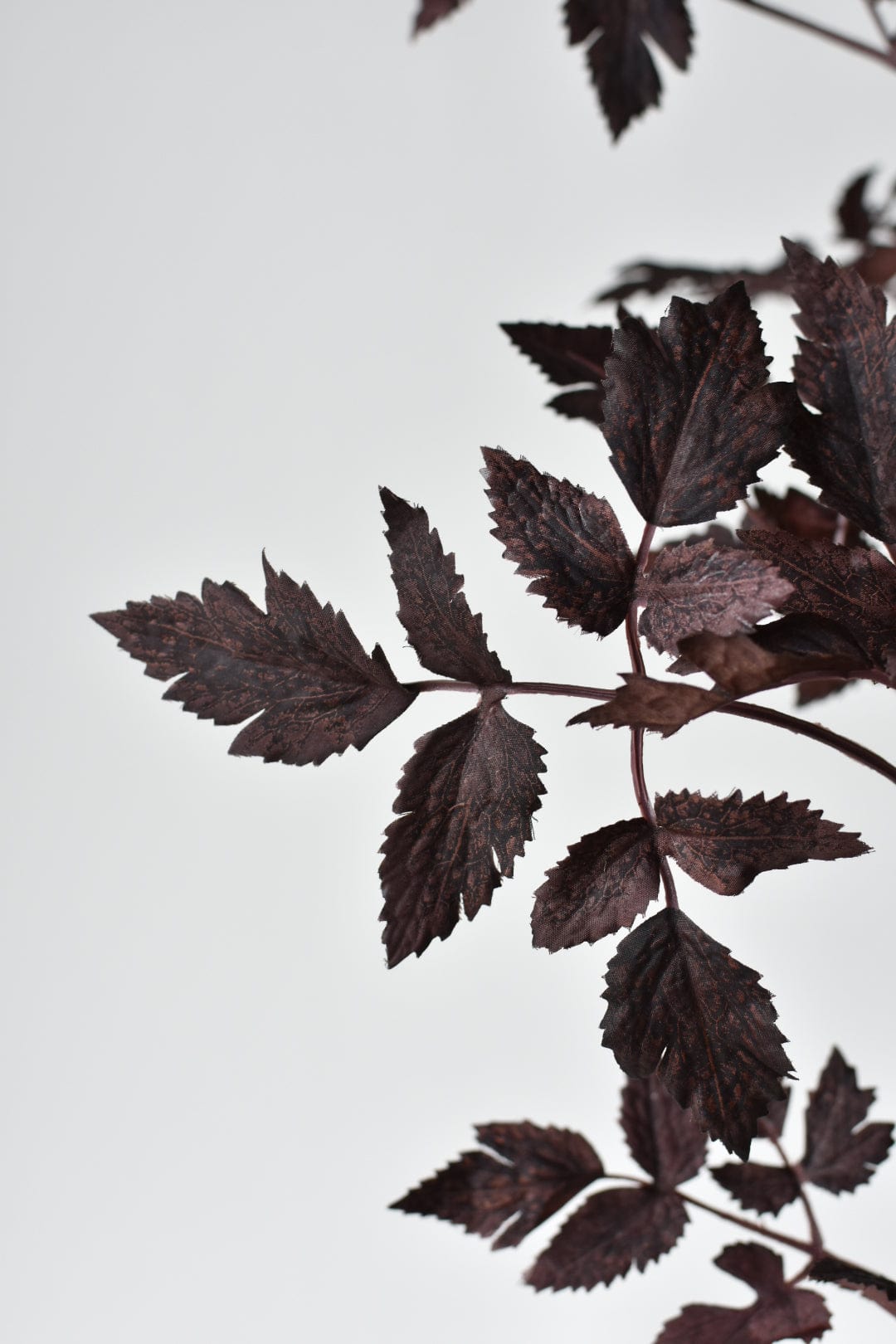 31" Faux Cimicifunga Ramosa Stem: Plum (online exclusive)