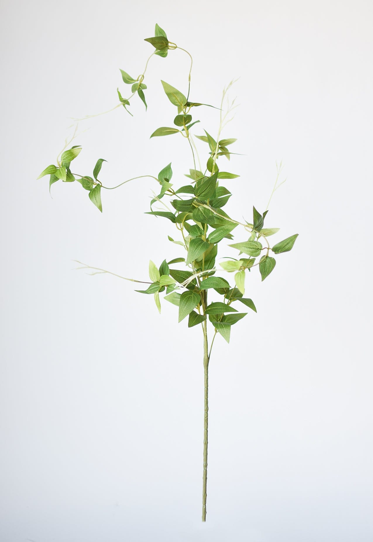 40" Faux Green Clematis Vine Stem (Online exclusive)