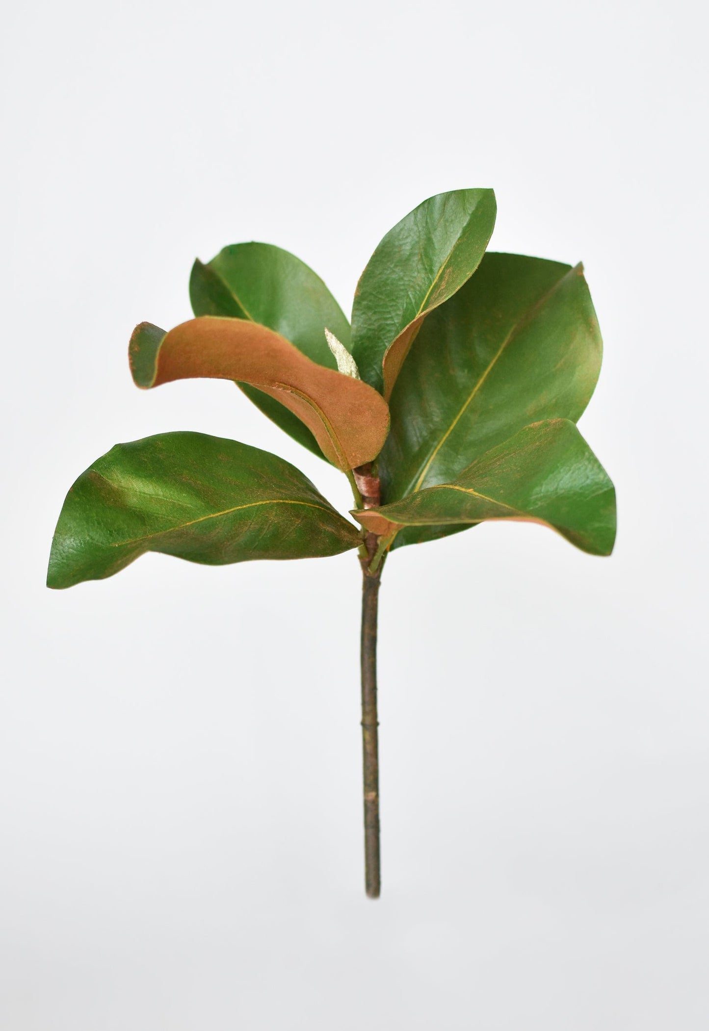 14" Faux Magnolia Leaf Stem (online exclusive)