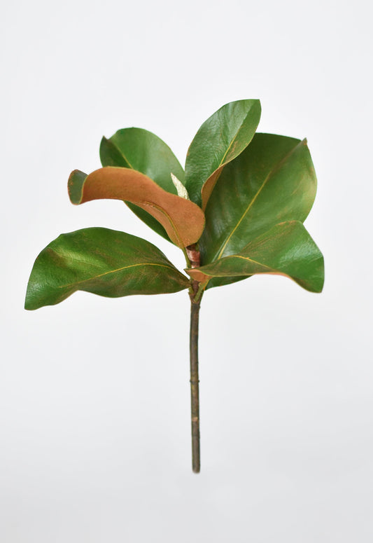 14" Faux Magnolia Leaf Stem (online exclusive)