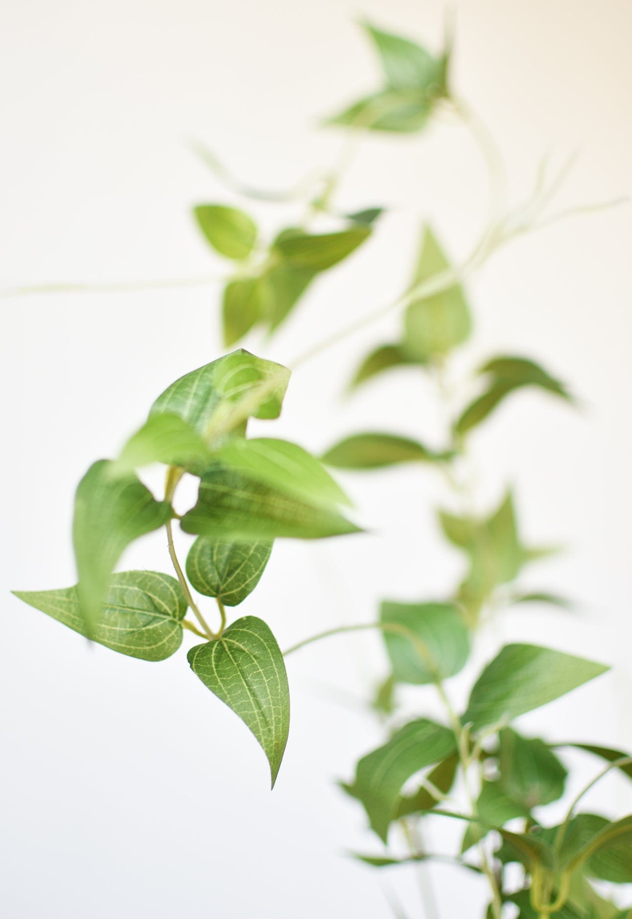 40" Faux Green Clematis Vine Stem (Online exclusive)